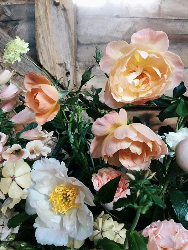 Flowers by India Hurst at Vervain