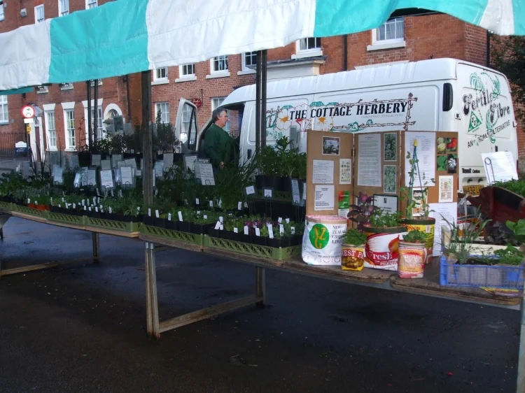 Our stall full of quality naturally grown plants.