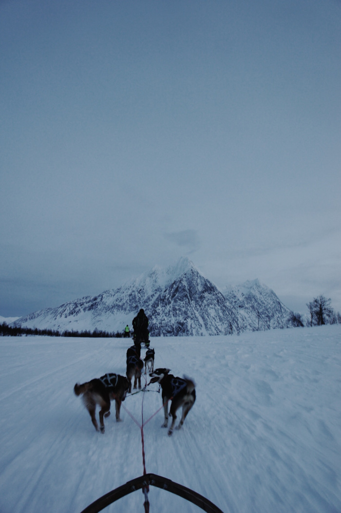 Tromsø: Chasing Light in Arctic Norway | Thyme & Honey