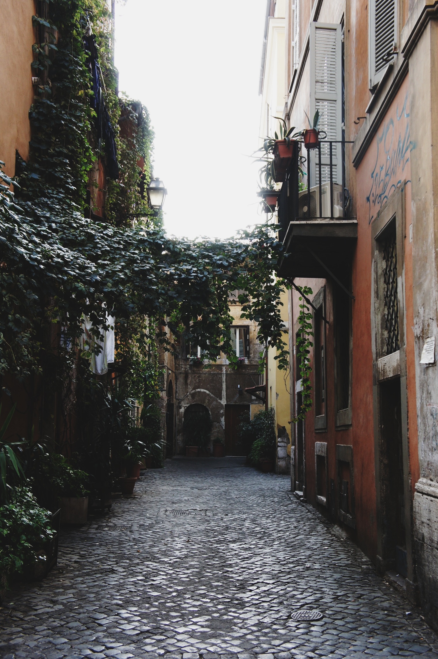 Photo Journal: Rome | Thyme & Honey