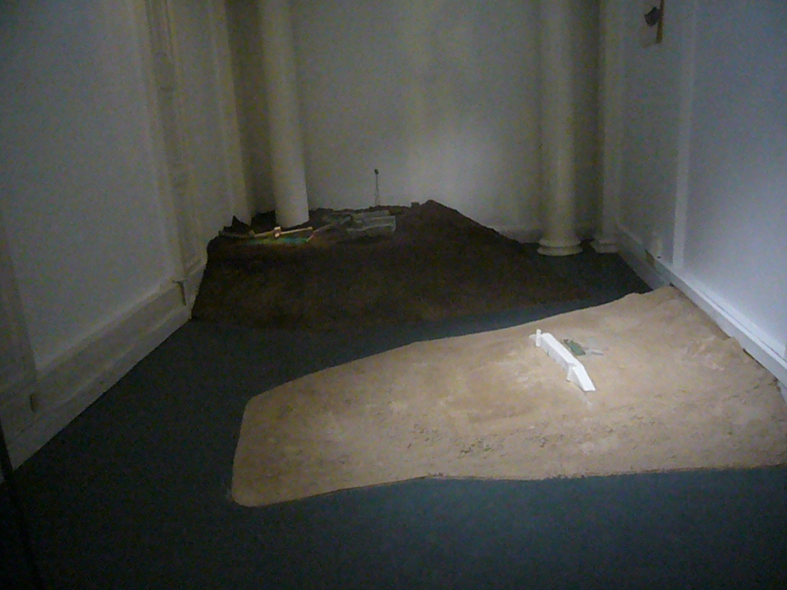 installation 1 goethe.jpg