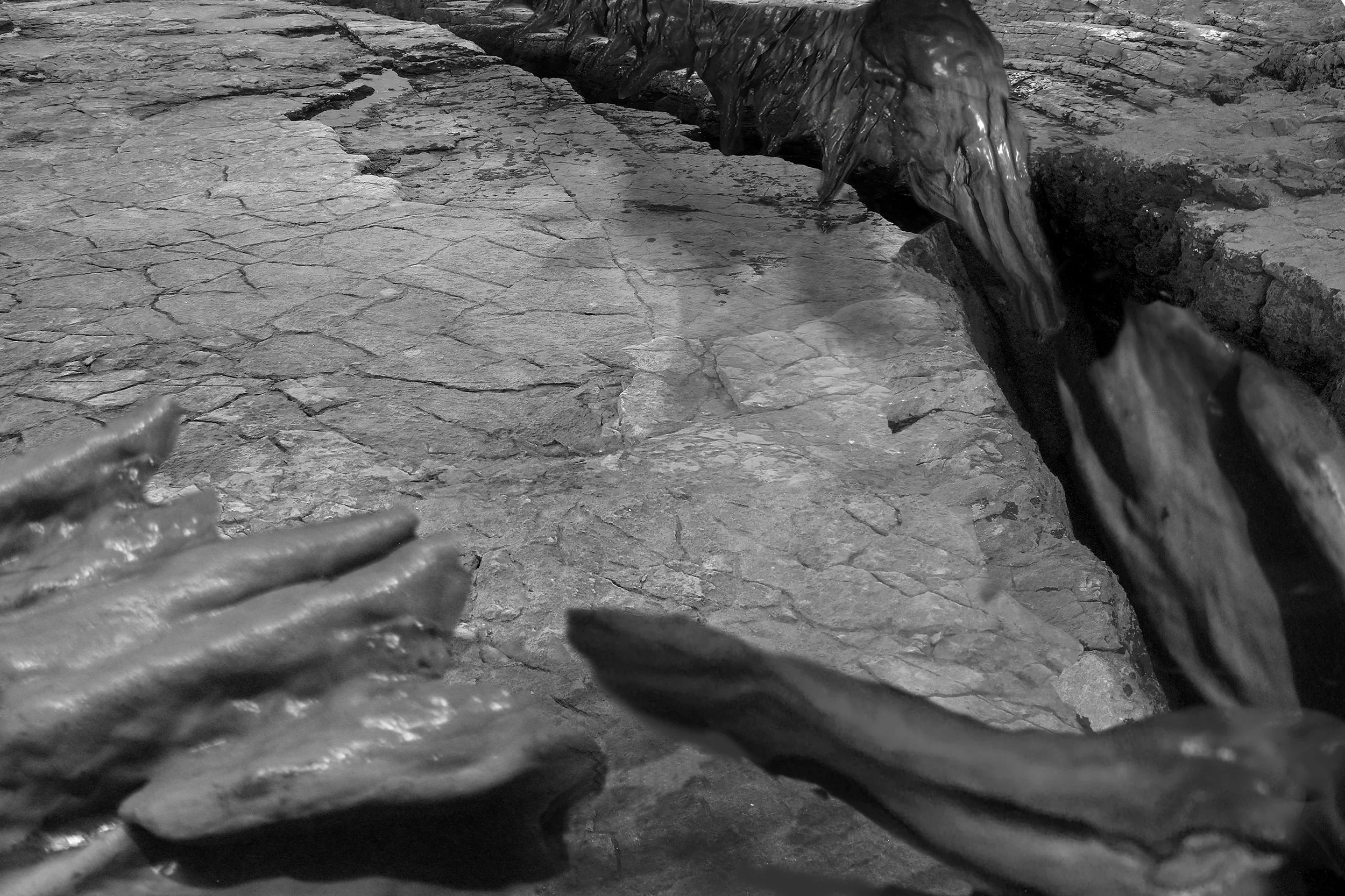 super grub fingers a3.jpg