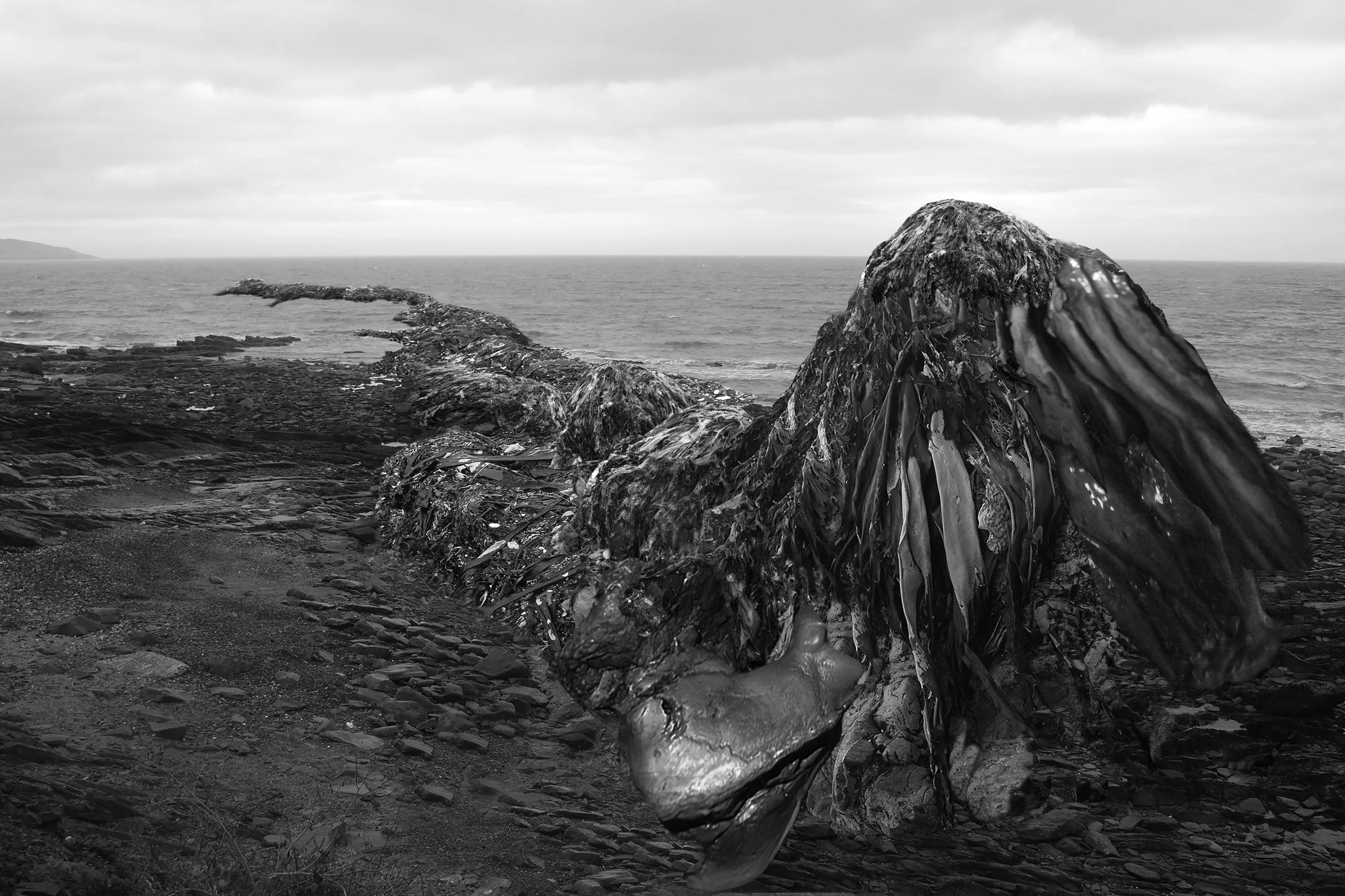 super seaweed monster IV a3.jpg