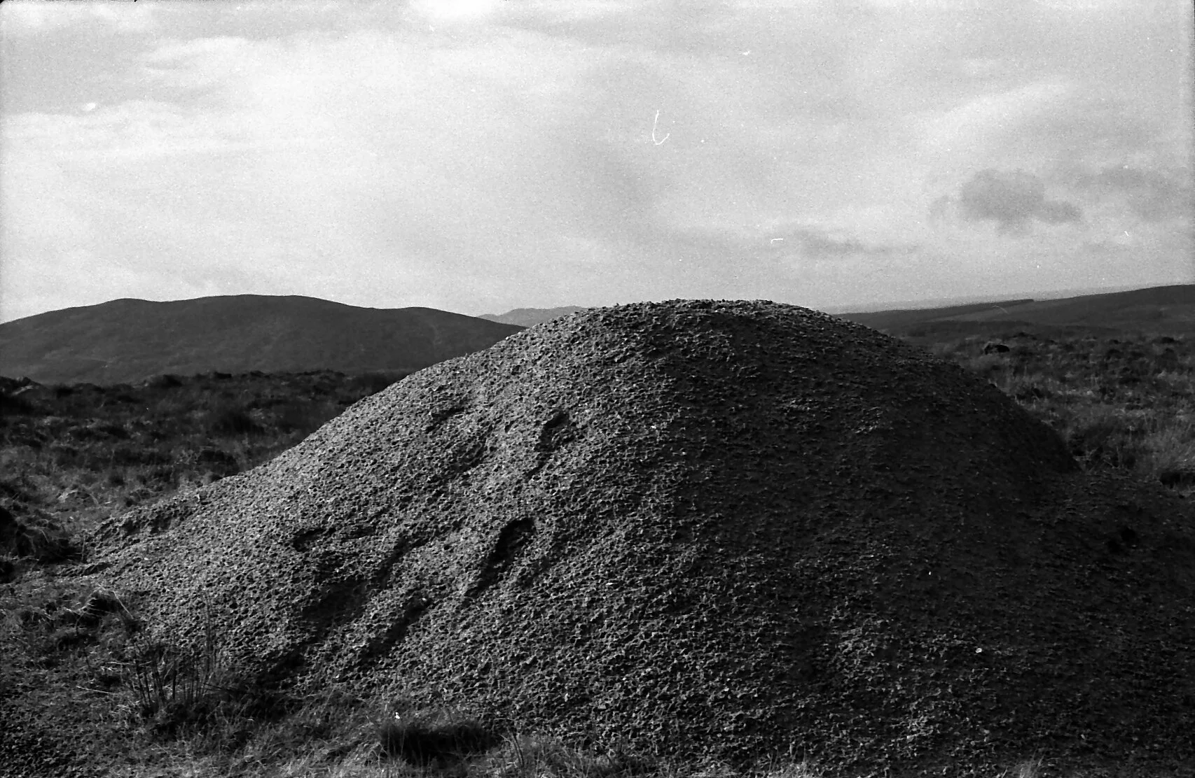 W JUDGE landscape IIa.jpg