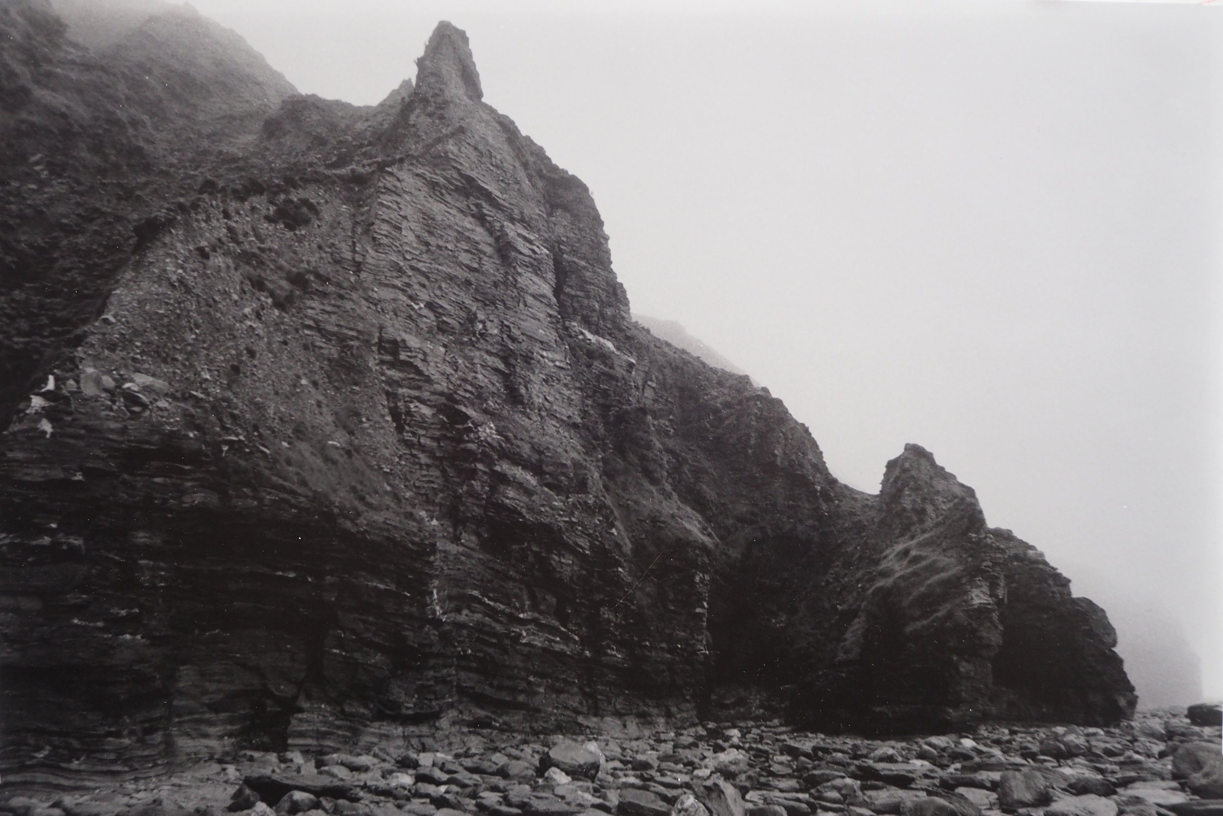 P1264957crop.jpg