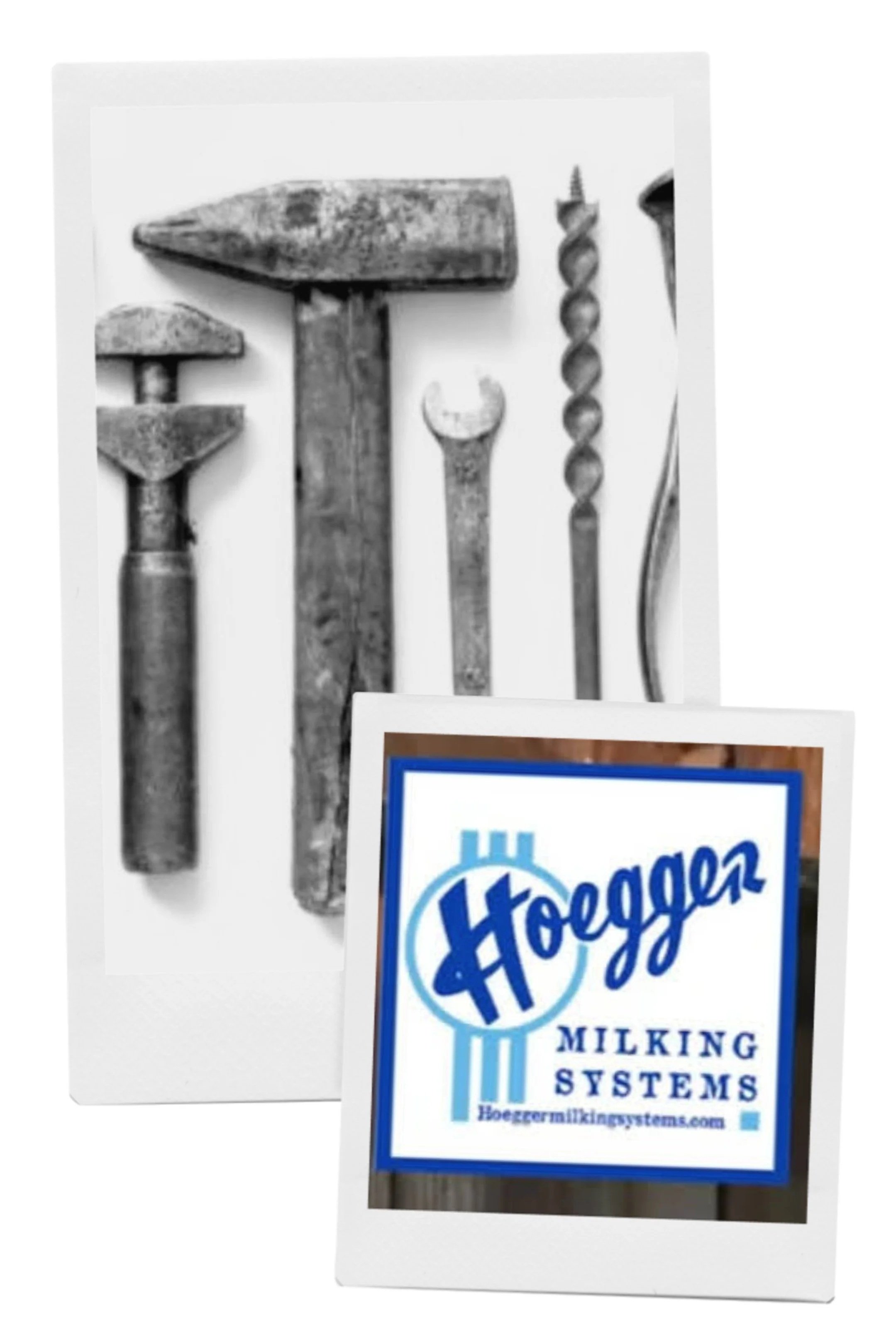 Reconditioning of the Milking Machine