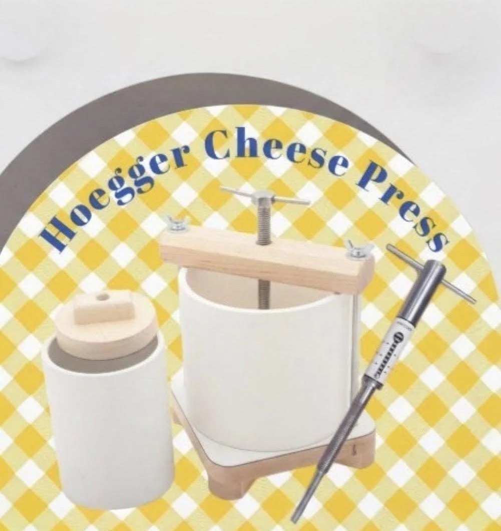 Hoegger Cheese Press