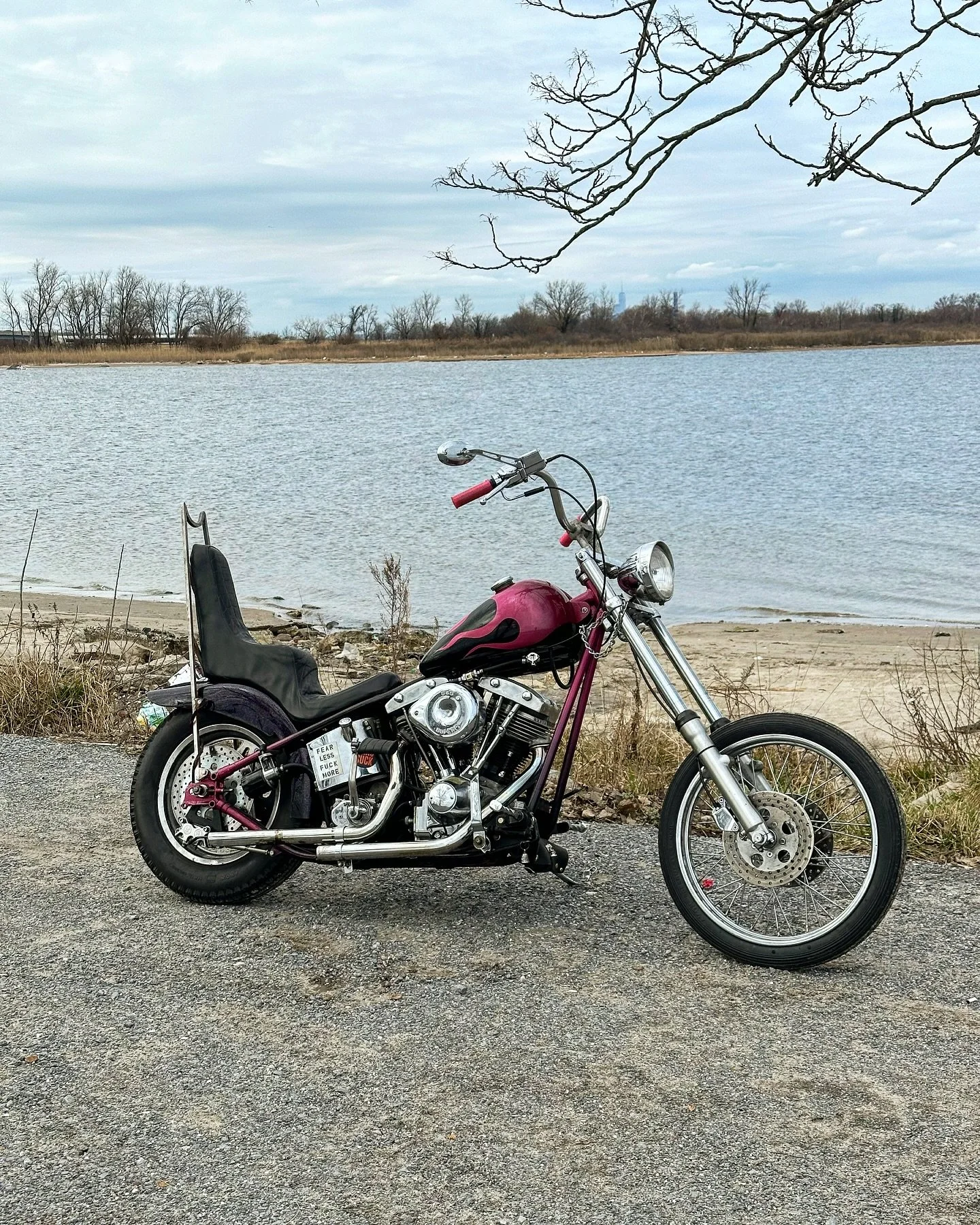 #troublehead is starting to get a little tamed 

much love to : 
@kickstartcycle for the rad sissy bar @ryan_ignorant for turning my pink paint nightmare into a reality  @paceleathernorthamerica for the seat that I somehow managed to win at @smokeymo