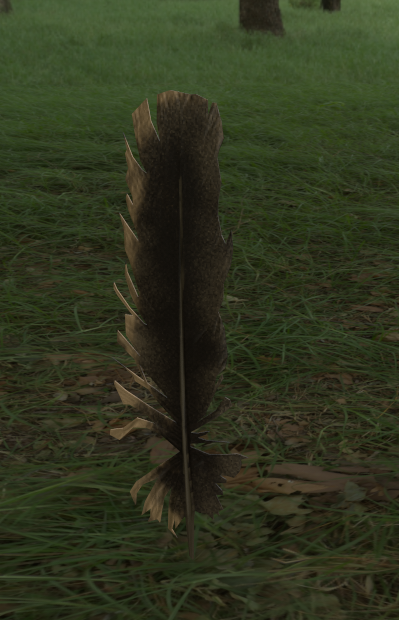 image (17).png