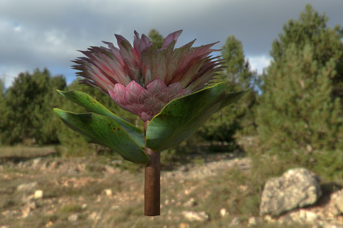 image (20).png
