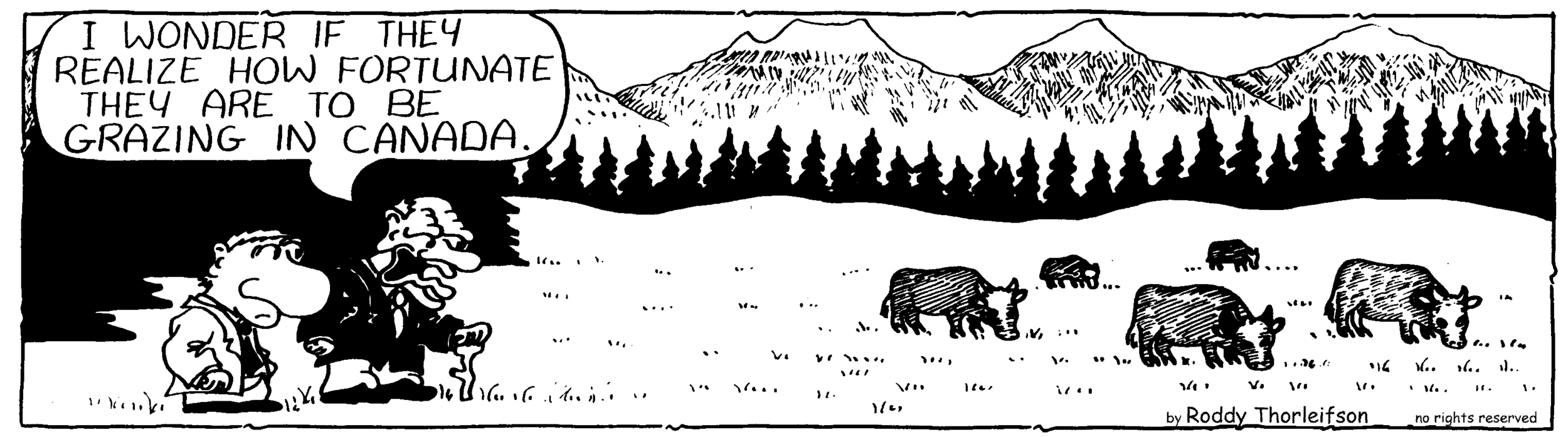 free cartoon Canada Canadian identity cattle grazing in Canada