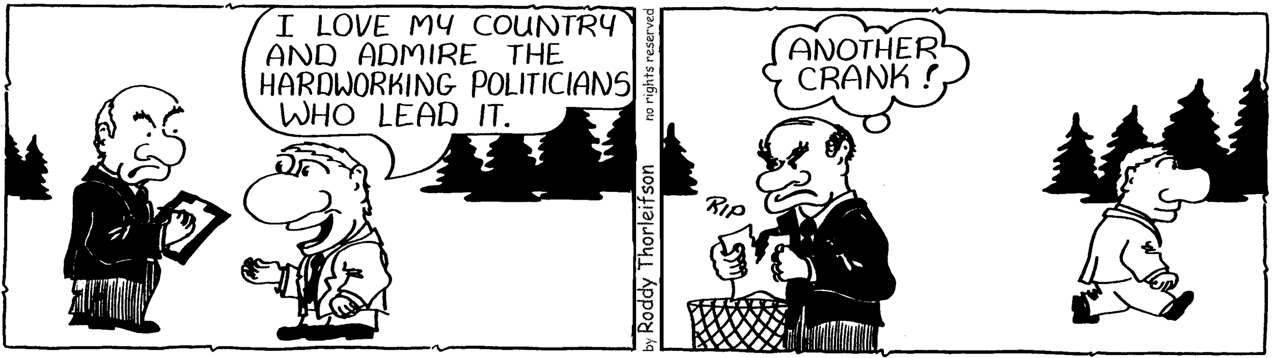 cartoon about polls and love of country