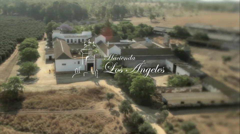 VIDEO HACIENDA LOS ÁNGELES