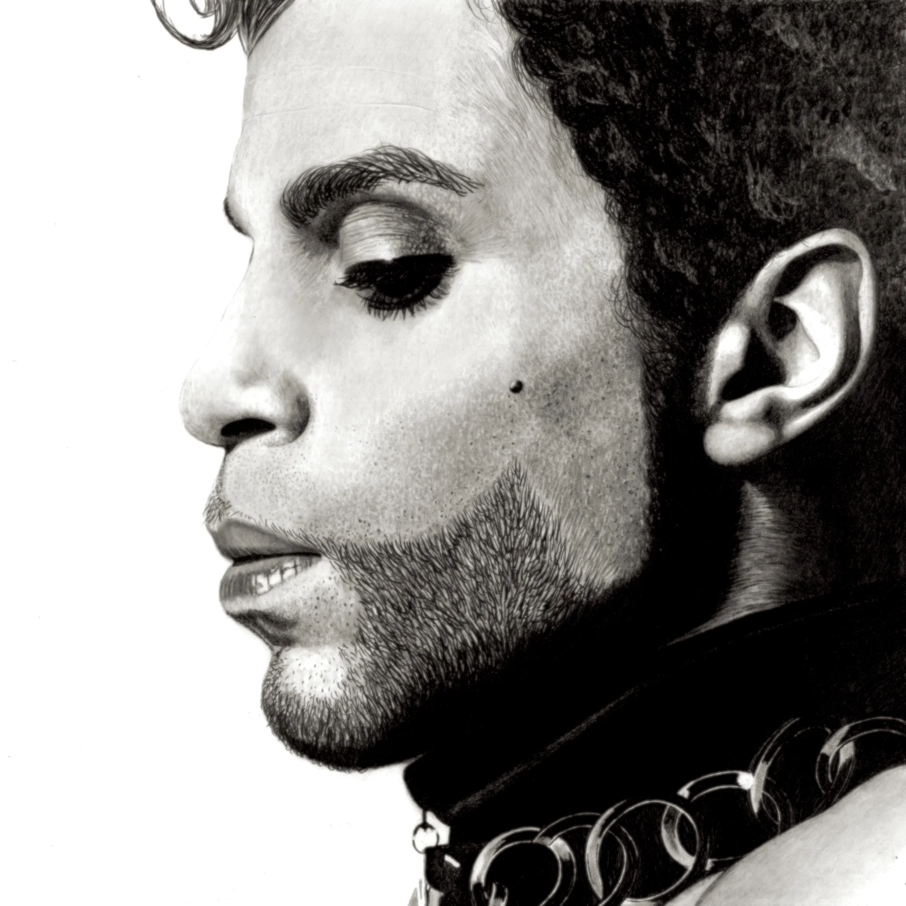 Prince small copy.jpg