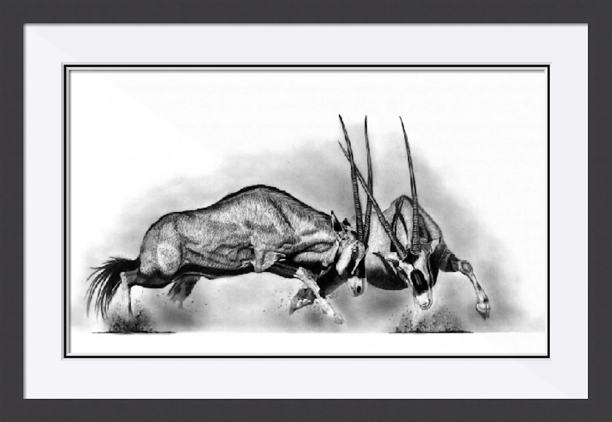 Gemsbok Framed.jpeg