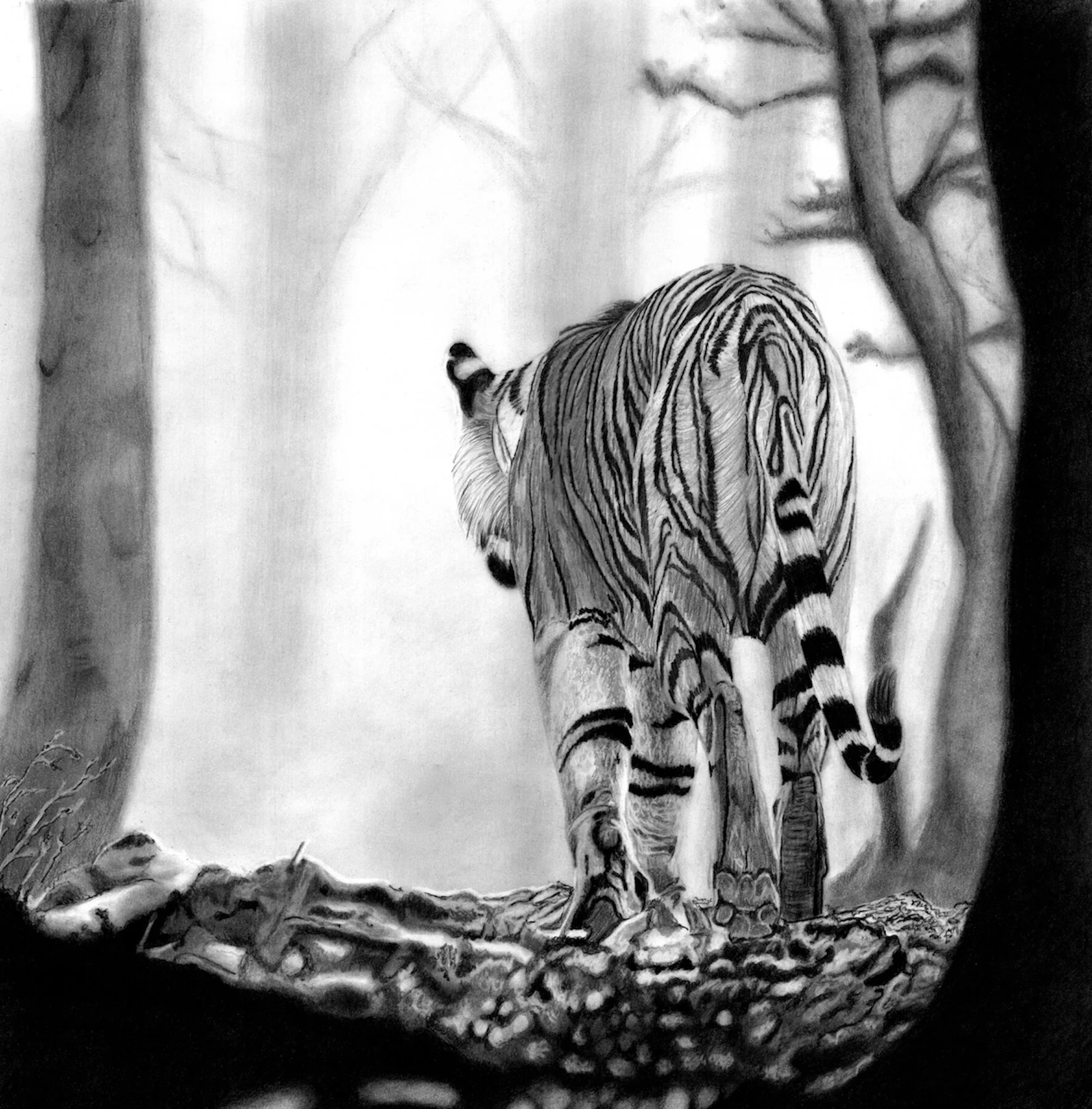 Tigers Rest 35 x 35cm small copy.jpeg