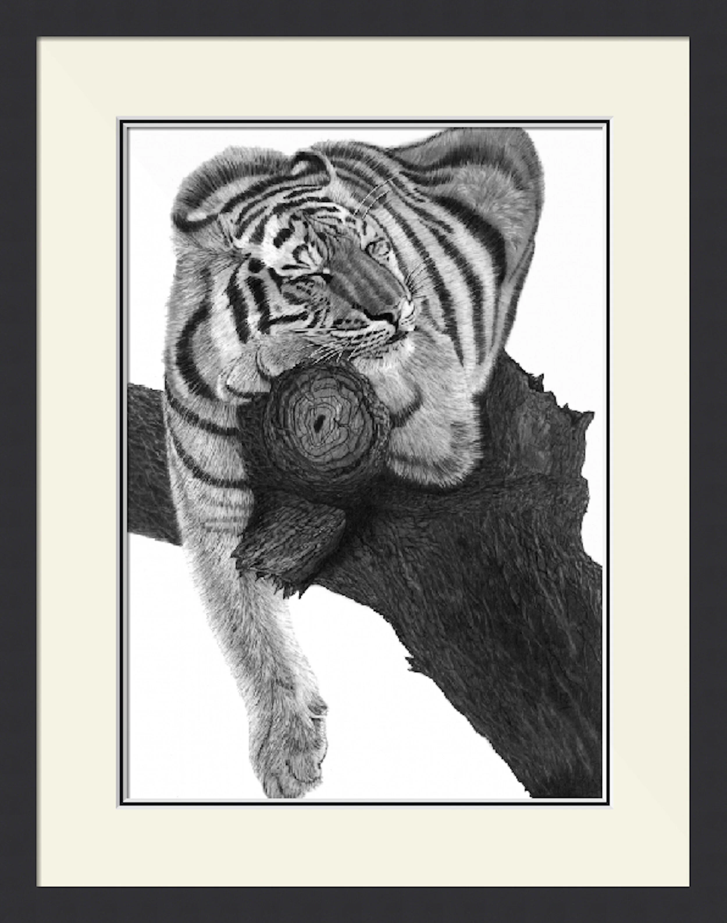 sleeping tiger framed.jpeg