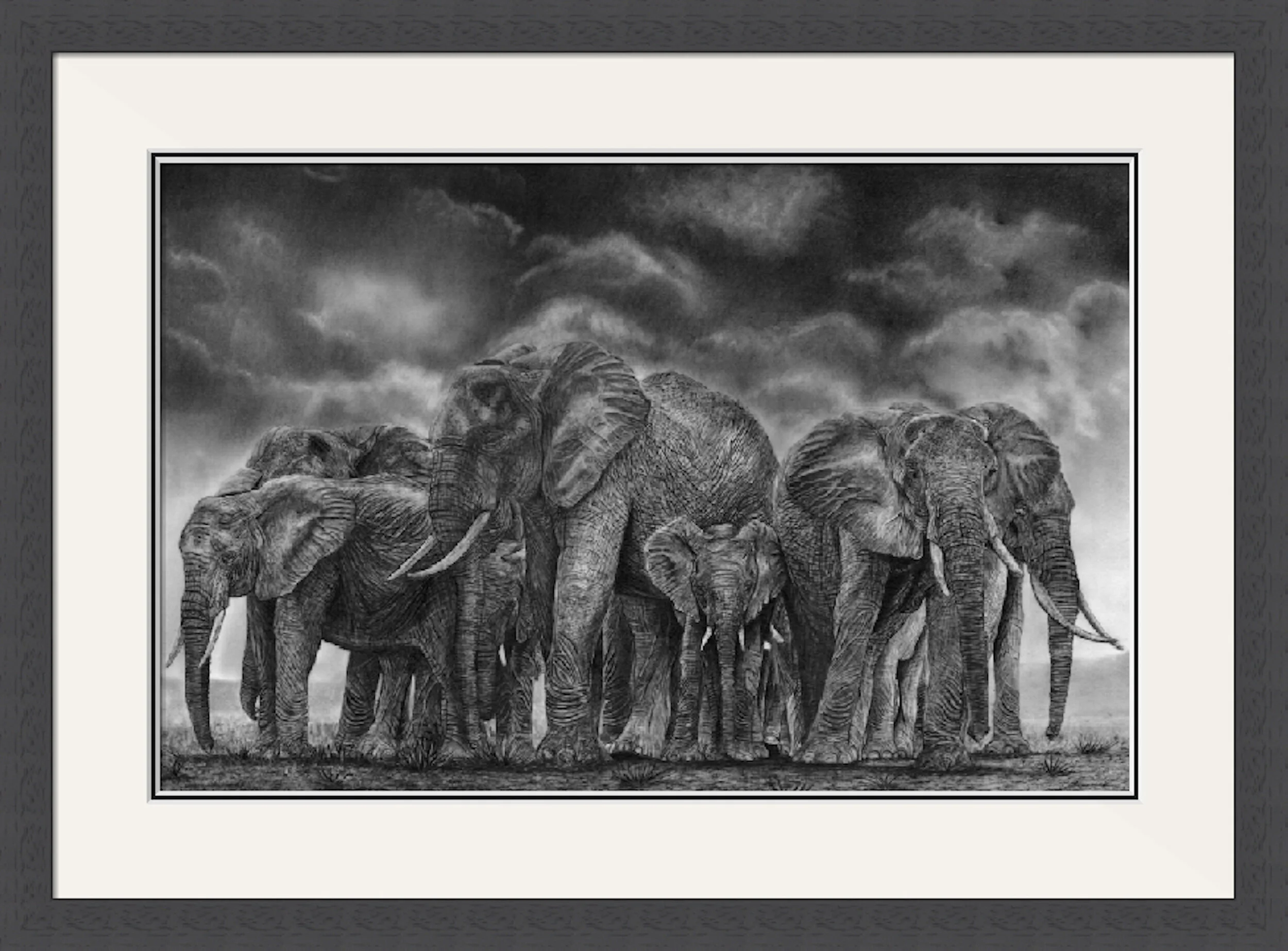 Circle of life framed 1.jpeg