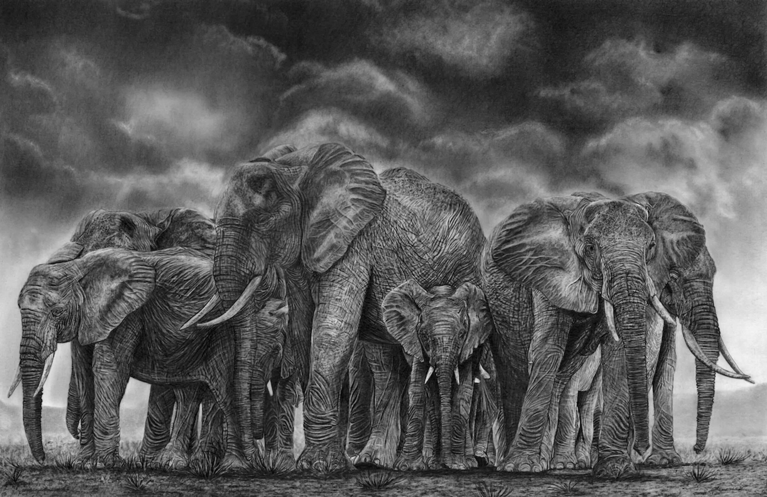 circle of life  small copy.jpeg