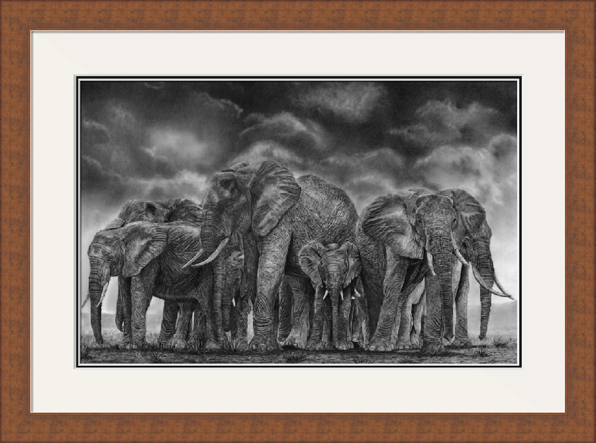 Circle of Life framed 2.jpeg