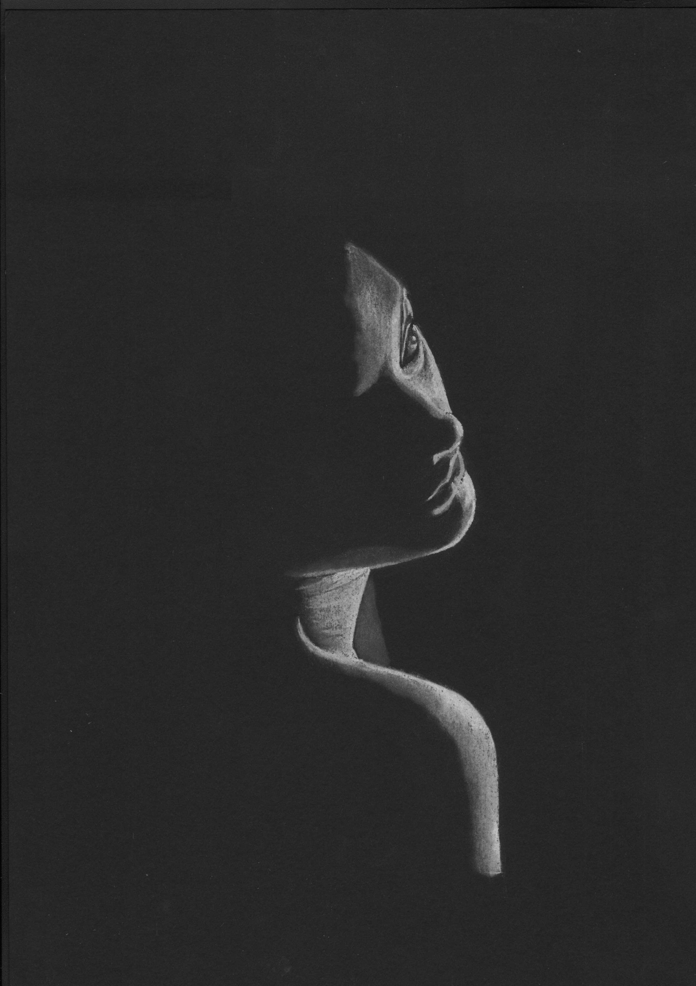 Shadow Drawing 2021e.jpeg