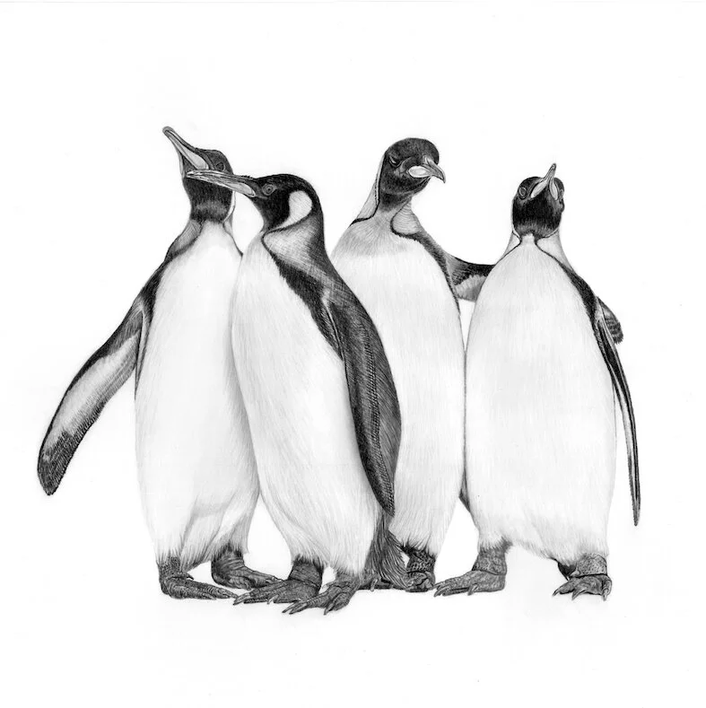 penguins small copy.jpeg