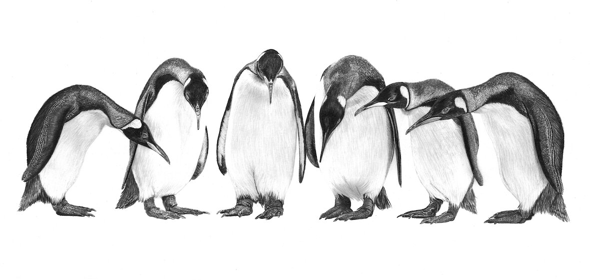 6 Penguins 77cm x 40cm small copy 2.jpg