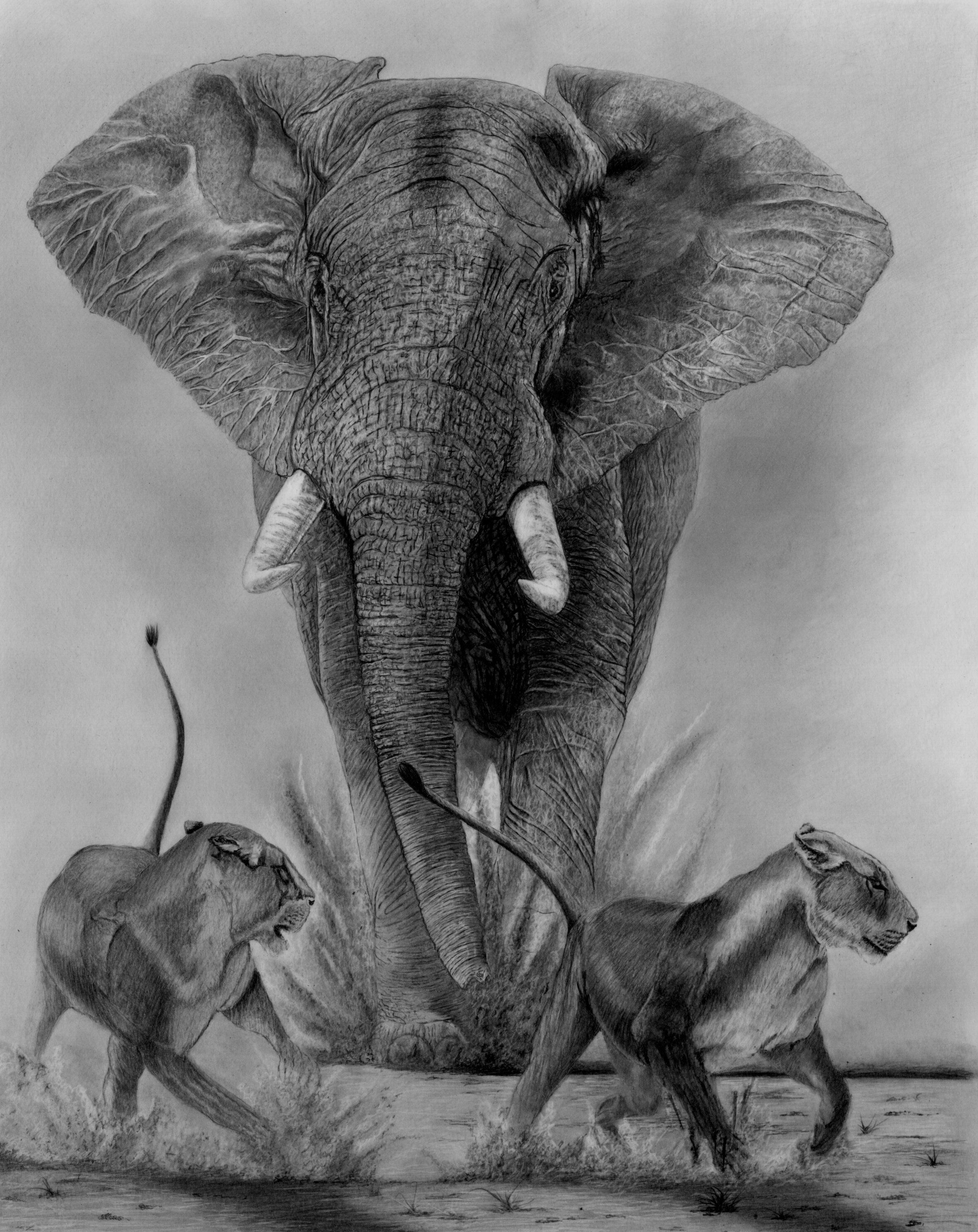 Epic Duel Small copy.jpeg