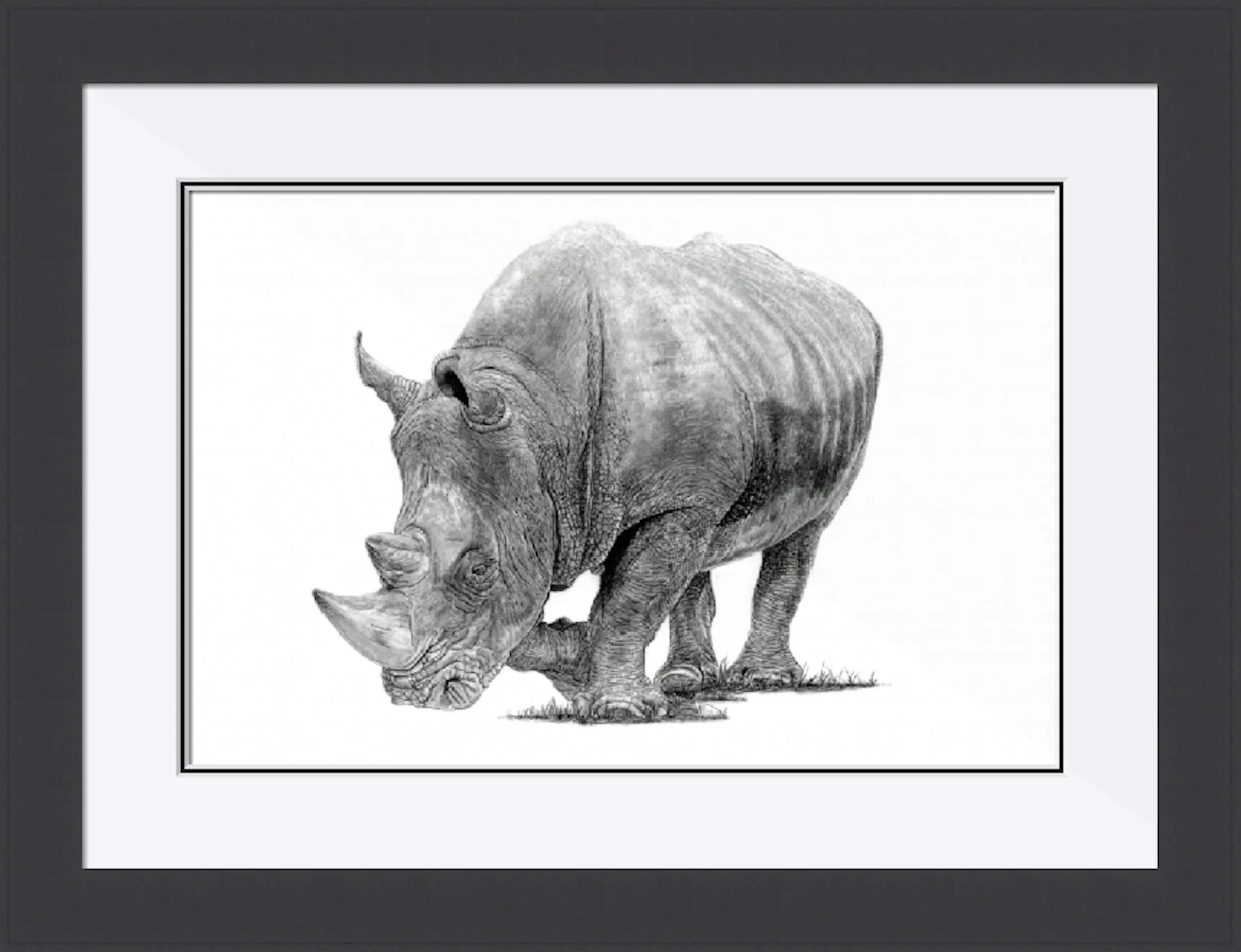 White Rhino Framed.jpeg