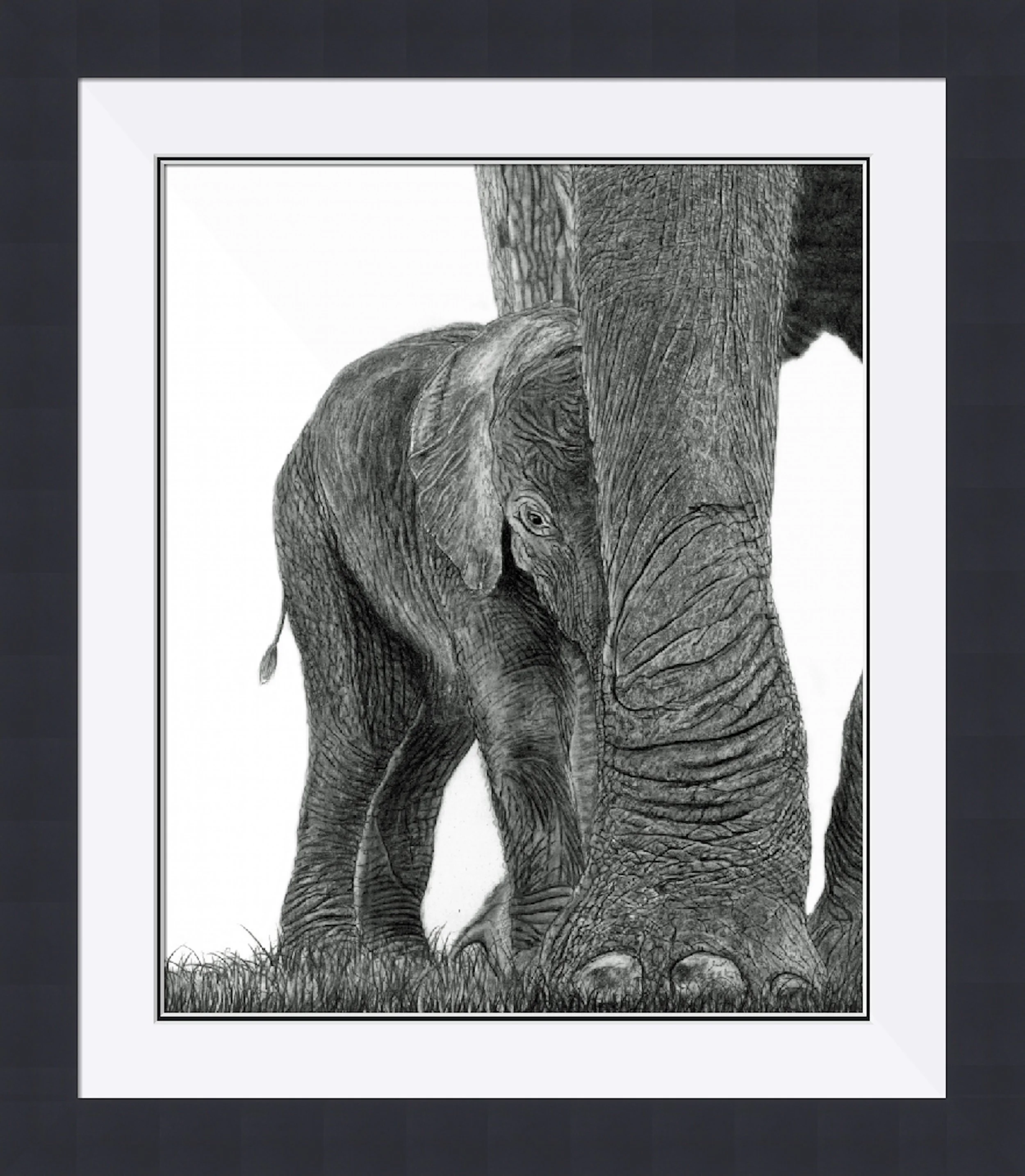 Baby Elephant Framed.jpeg