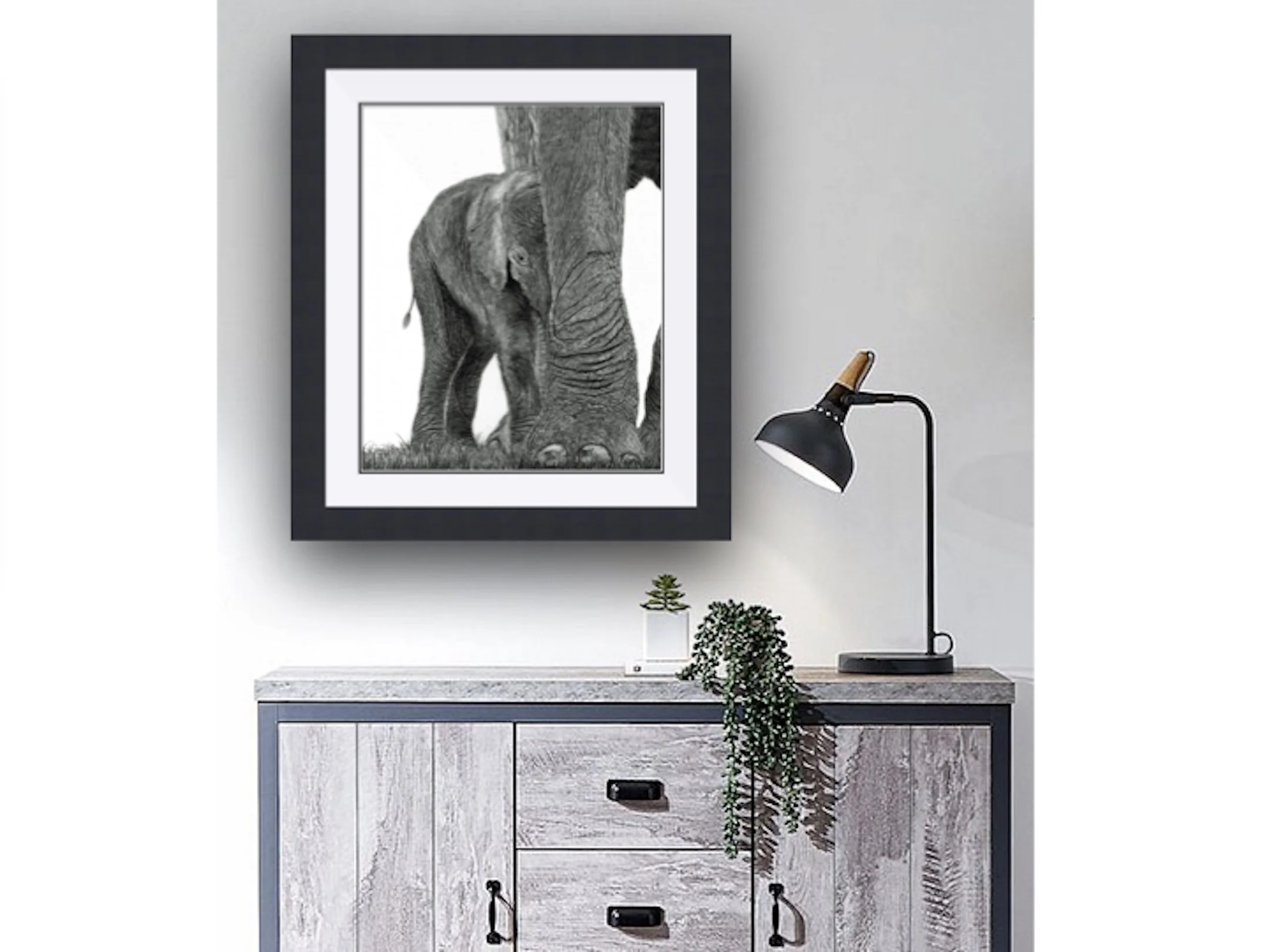 Baby Elephant.003.jpeg