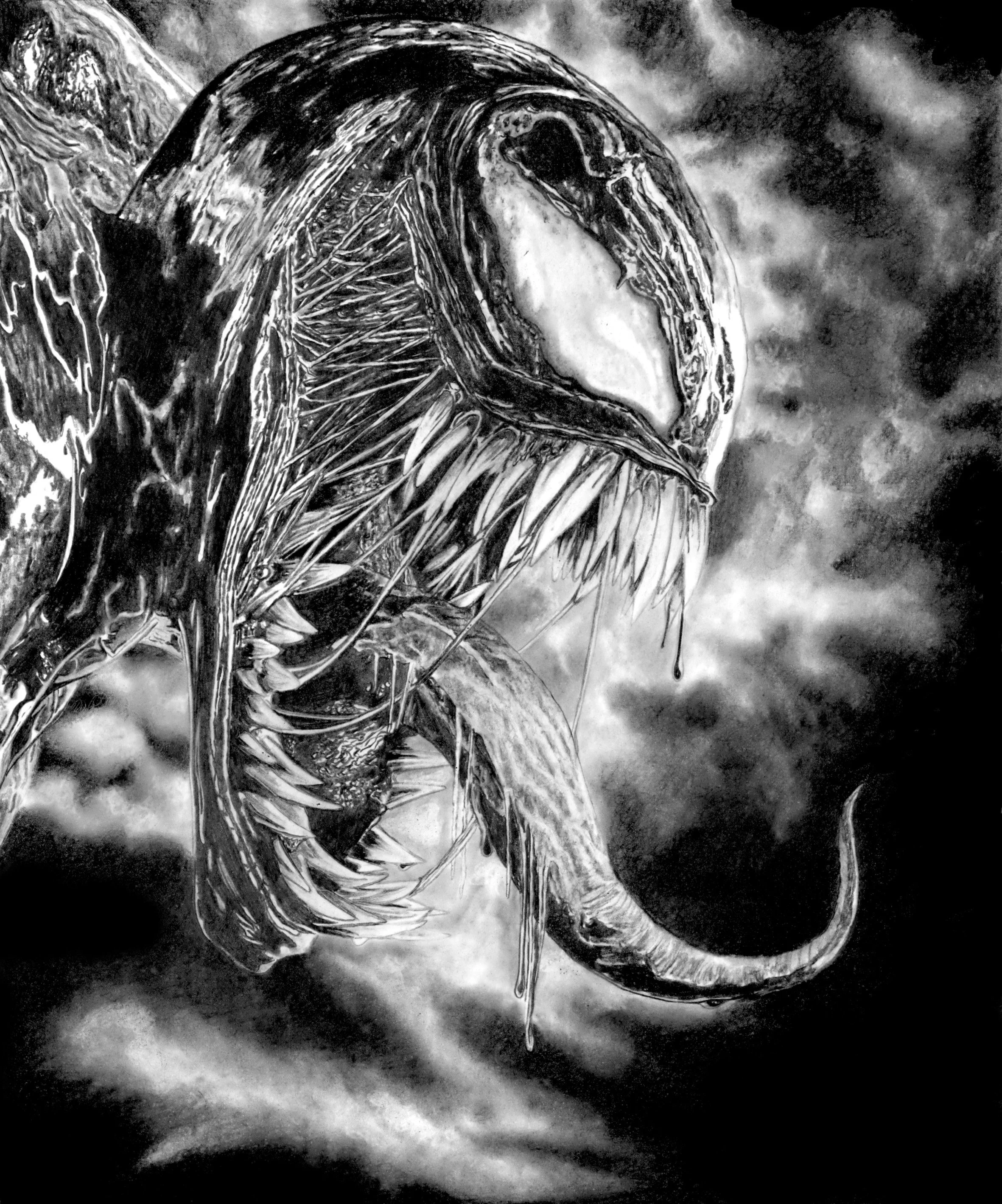 Venom 30 x 36cm small copy.jpeg