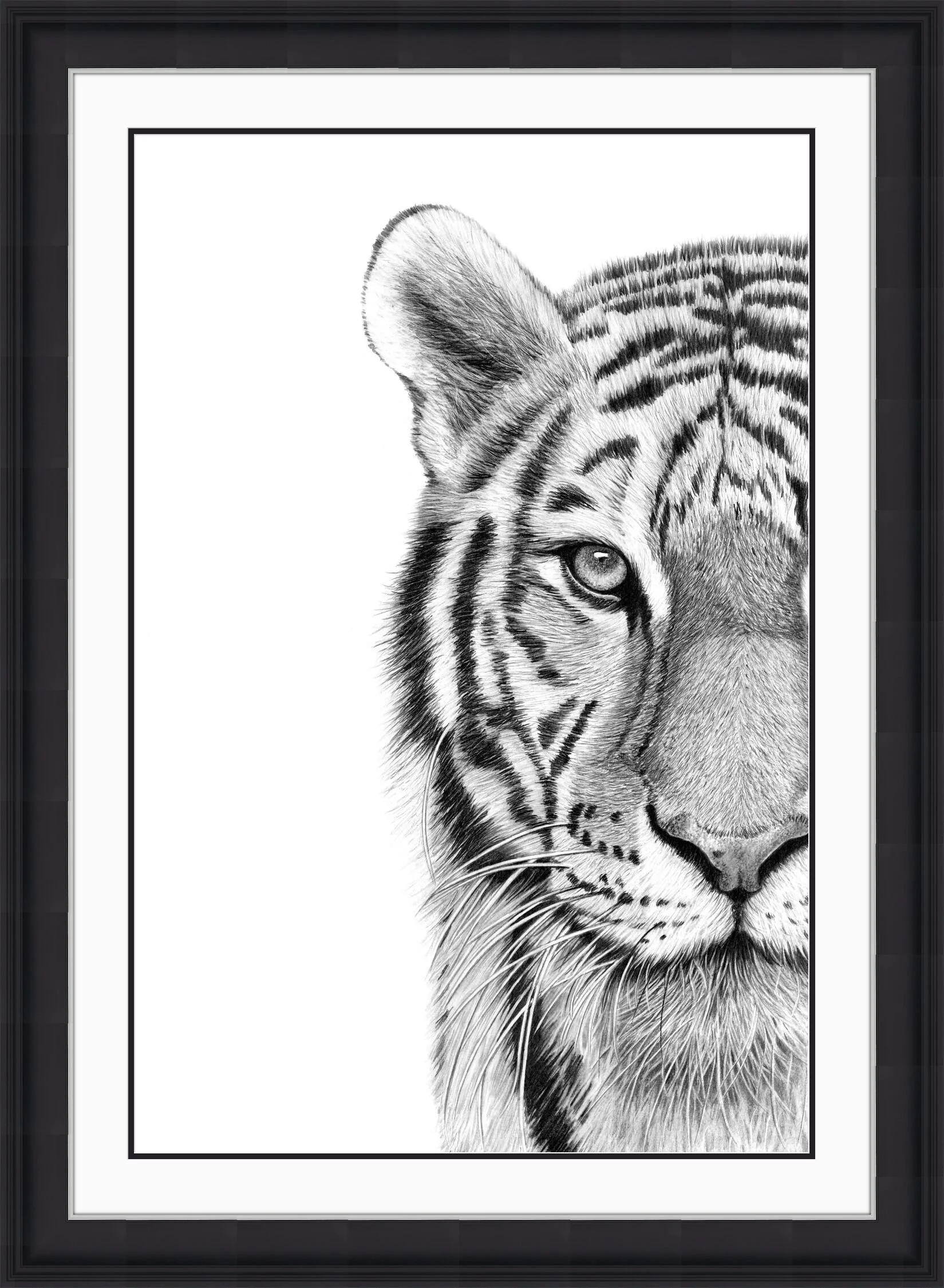 Half Tiger Framed.jpeg