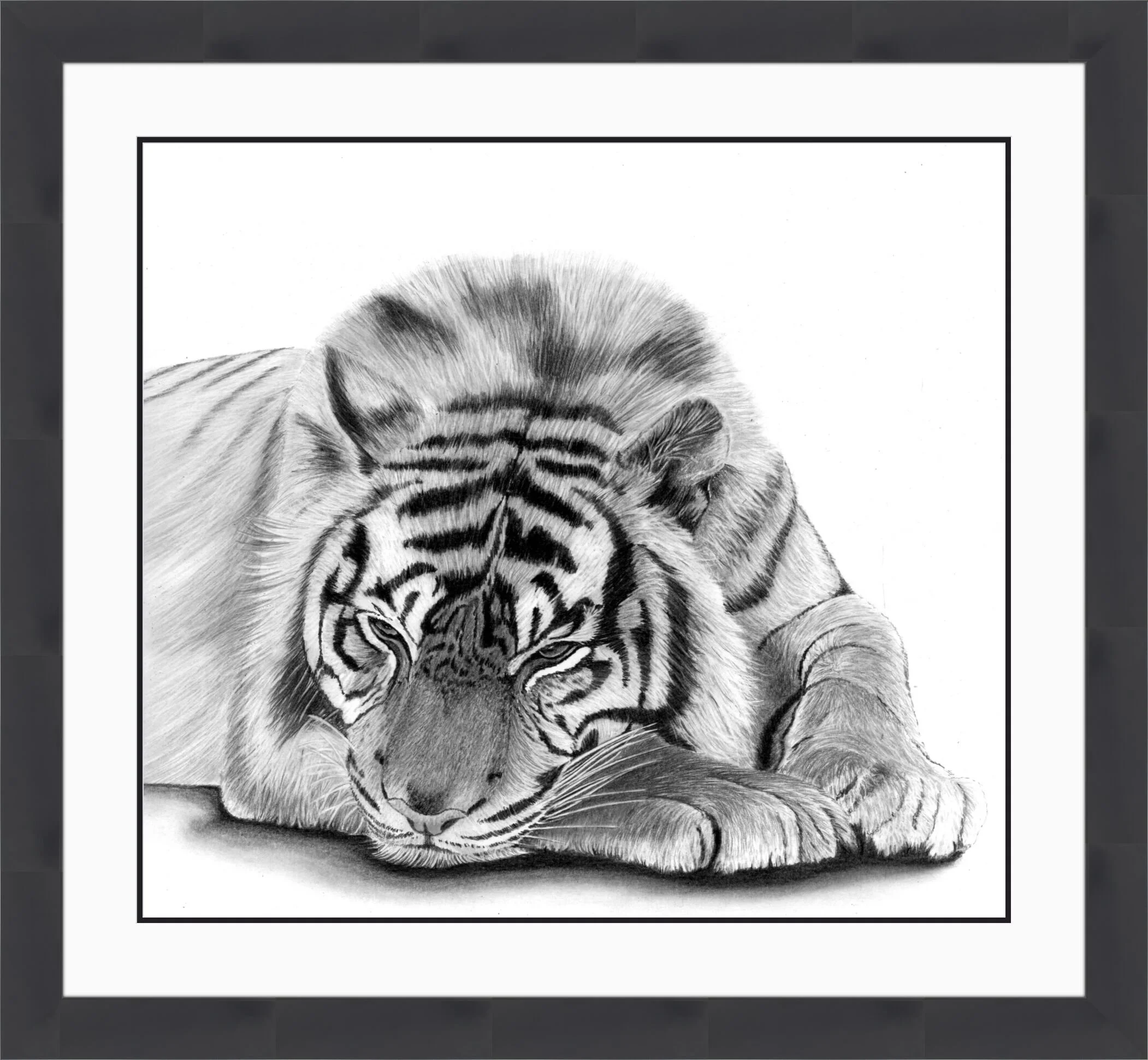 Melancholy Tiger Framed.jpeg