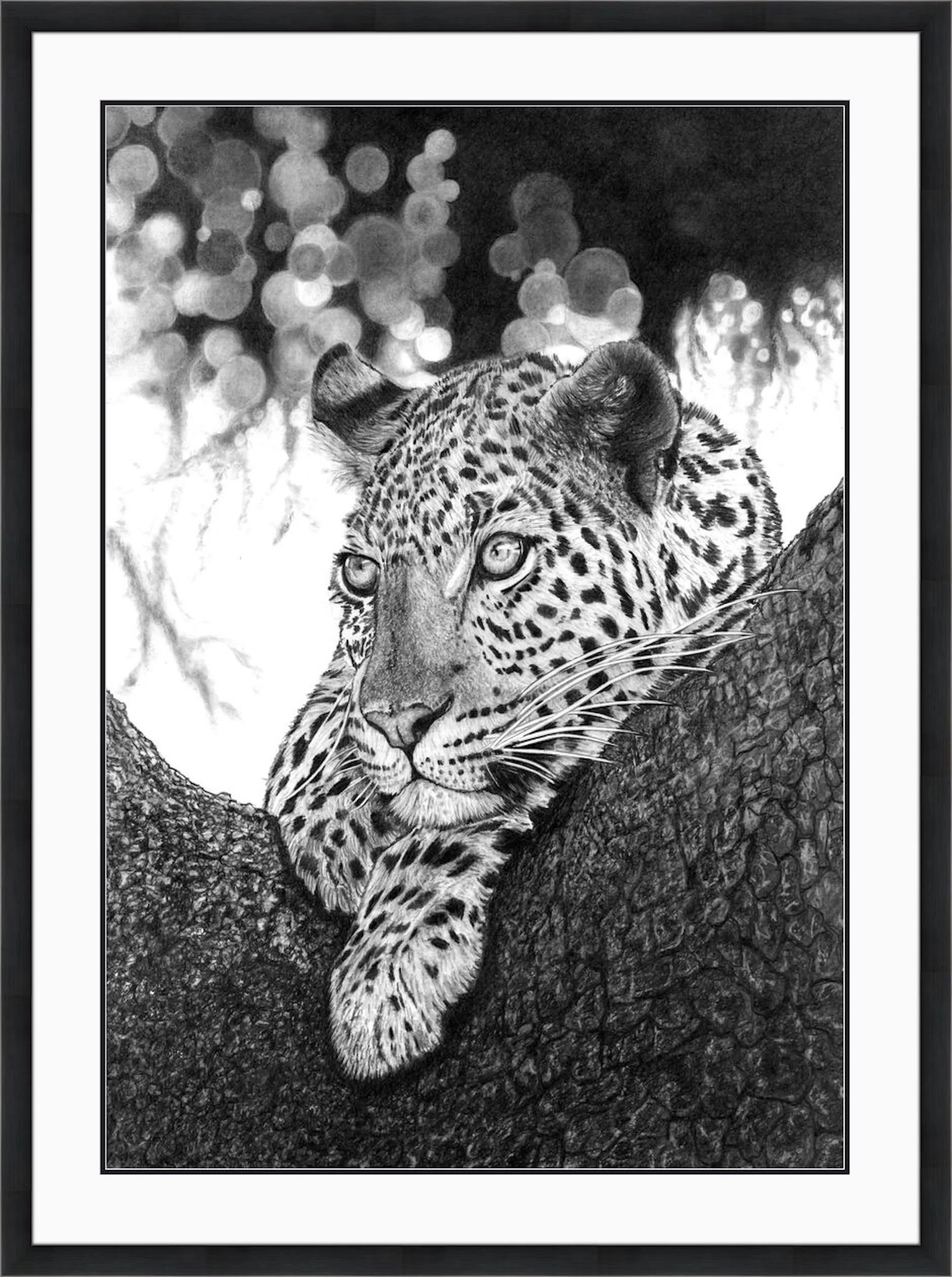 Resting Leopard 2022 Framed.jpeg