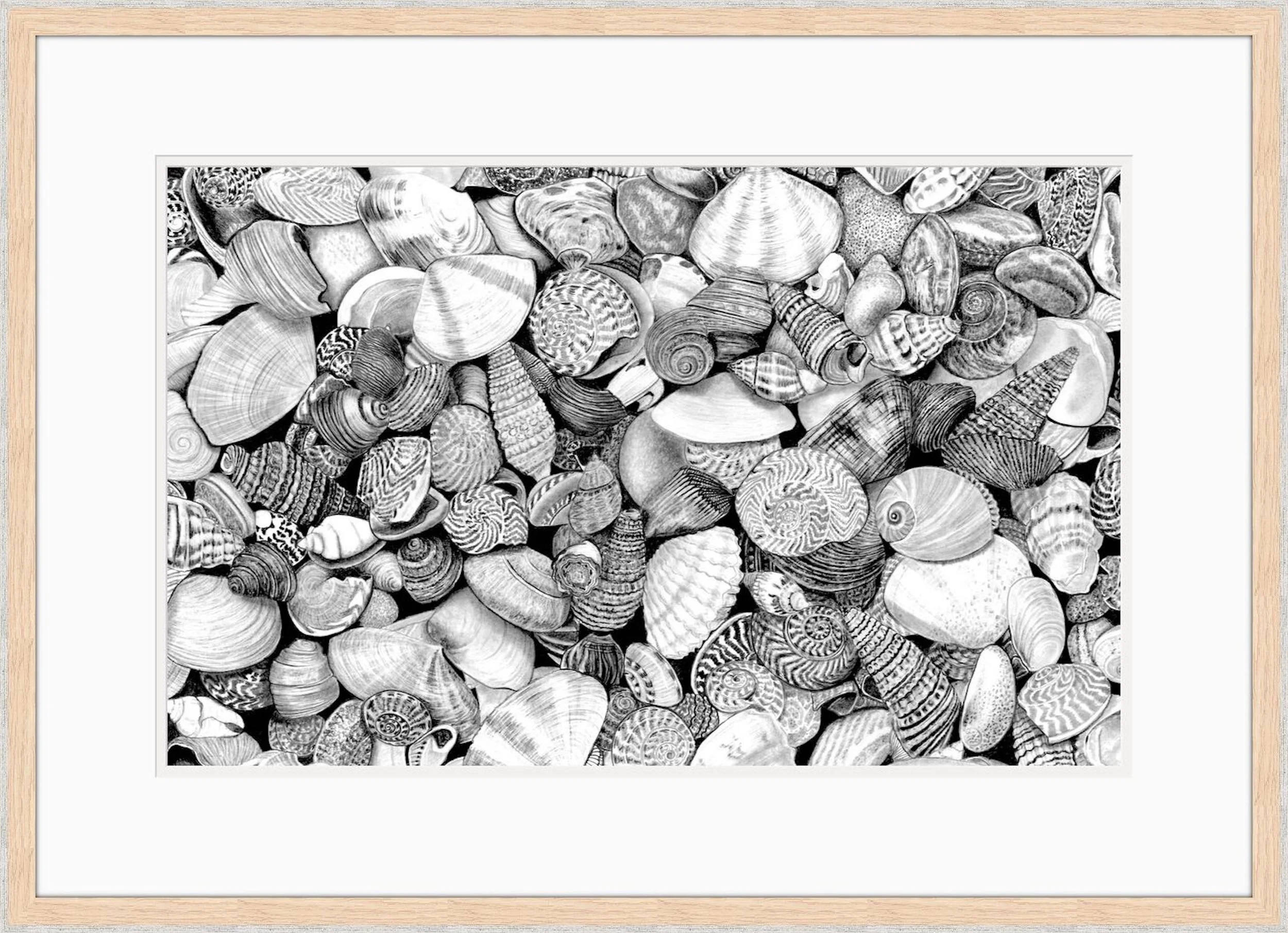 Shells 2022 Framed.jpeg