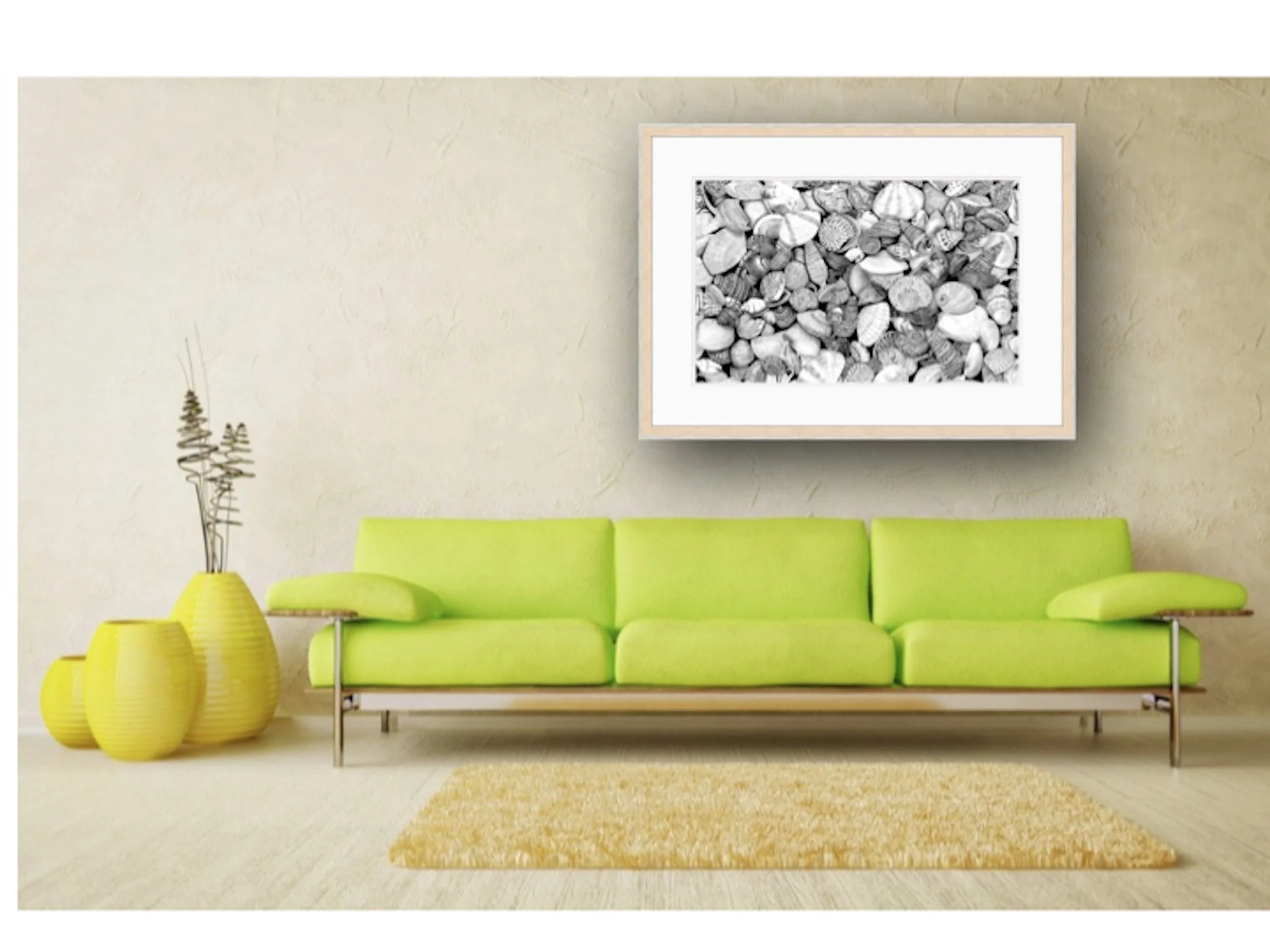 Shells 2022.001.jpeg