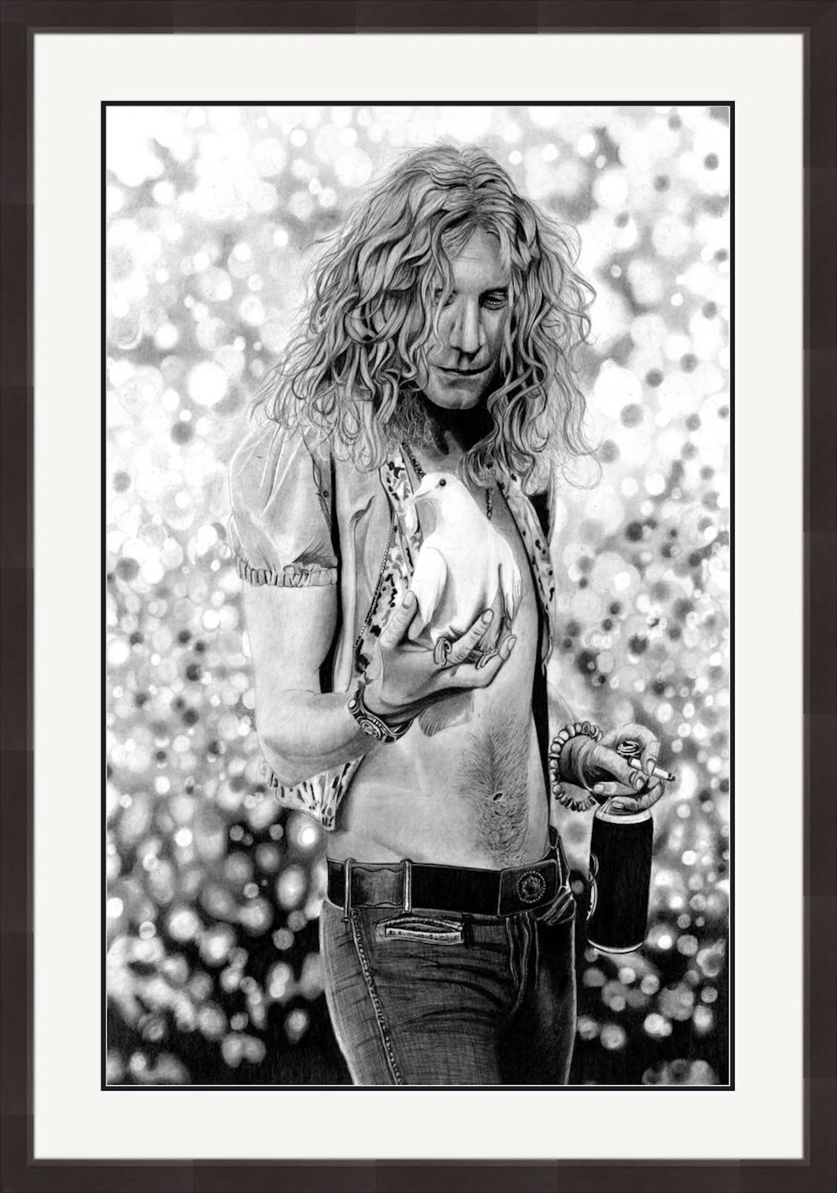 Robert Plant Framed.jpeg