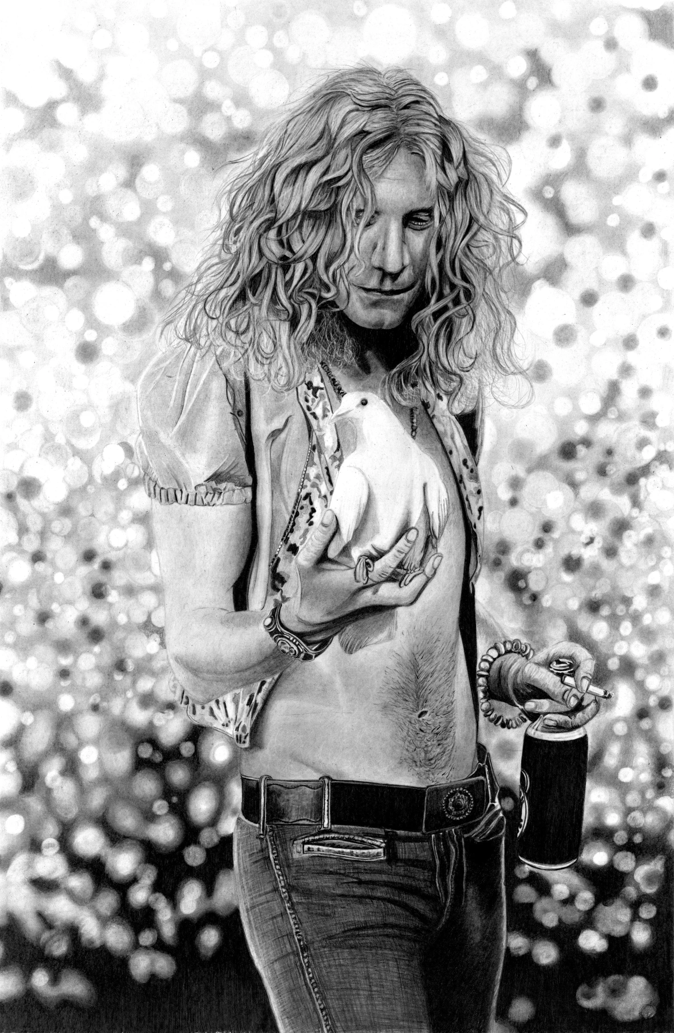 Robert Plant Small Copy.jpeg
