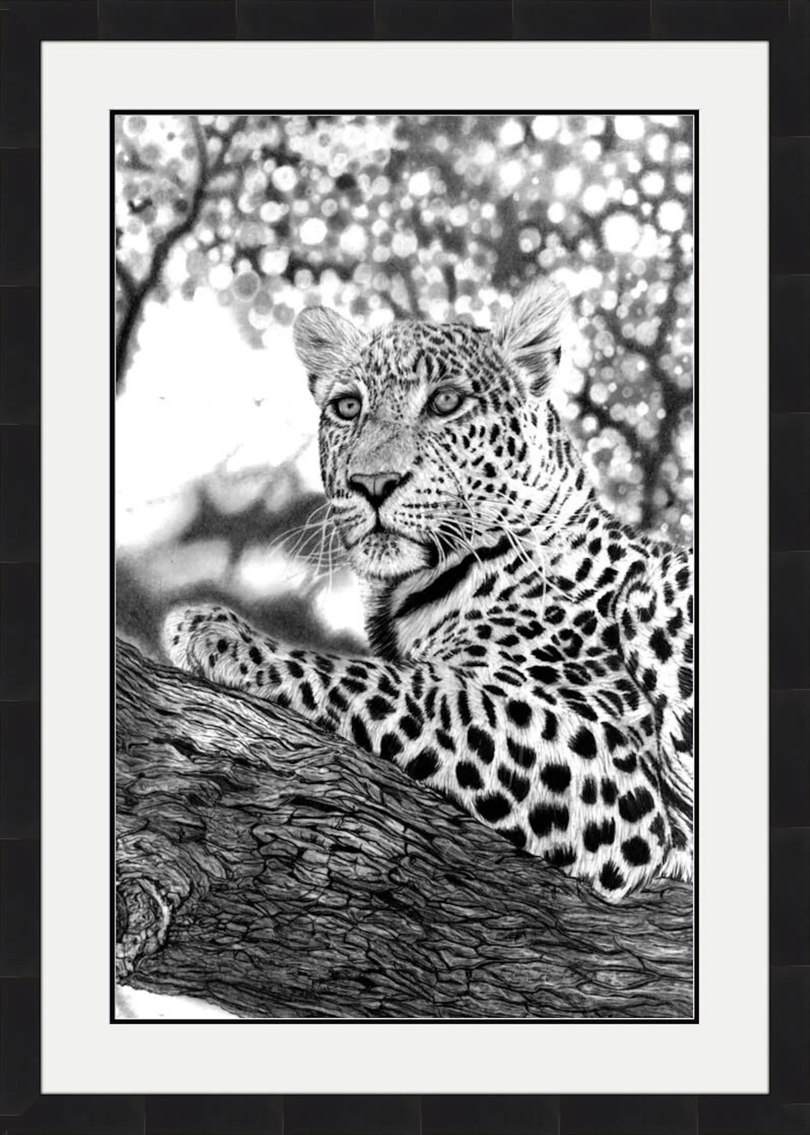 Tree Leopard Framed.jpeg