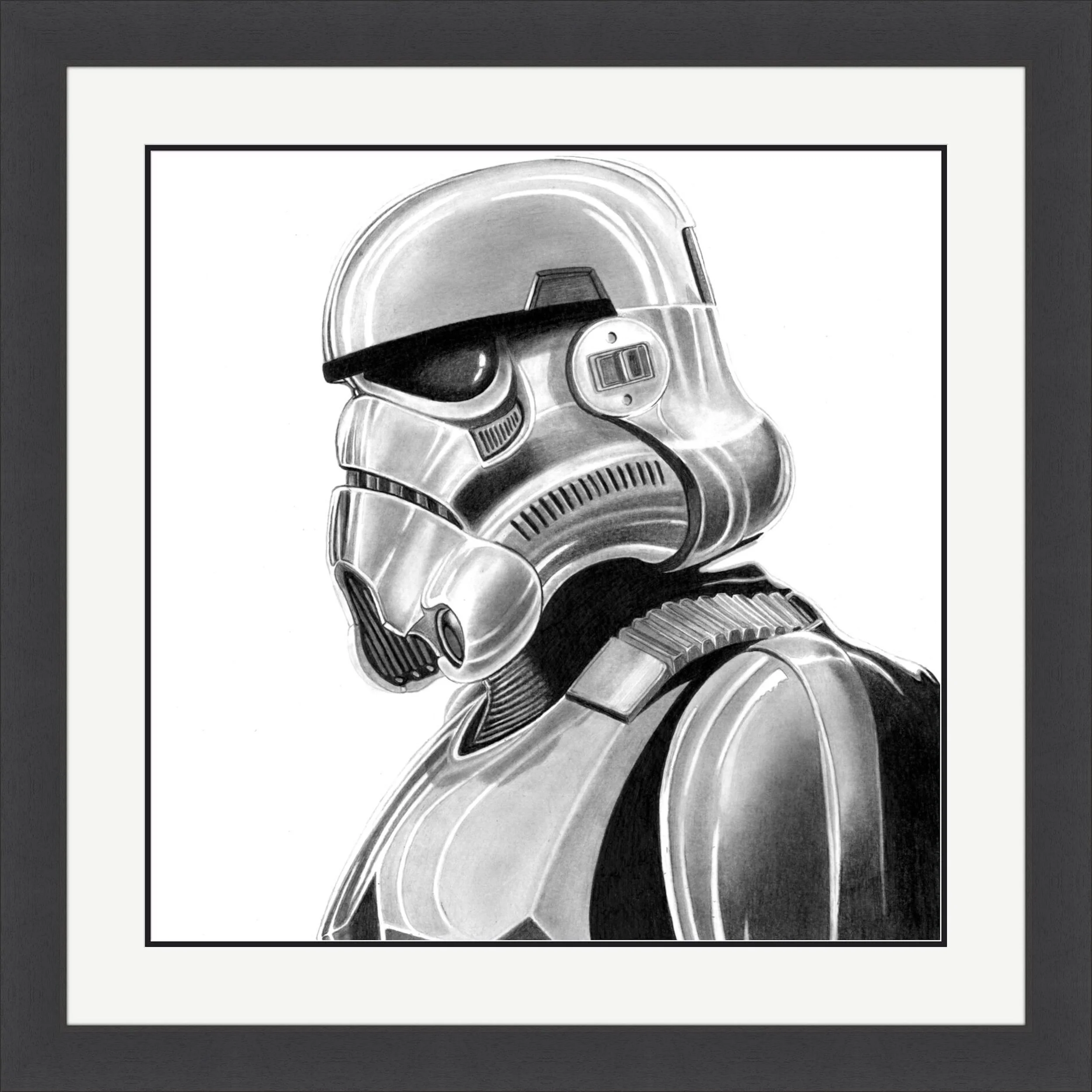 Stormtrooper 2023 framed.jpeg