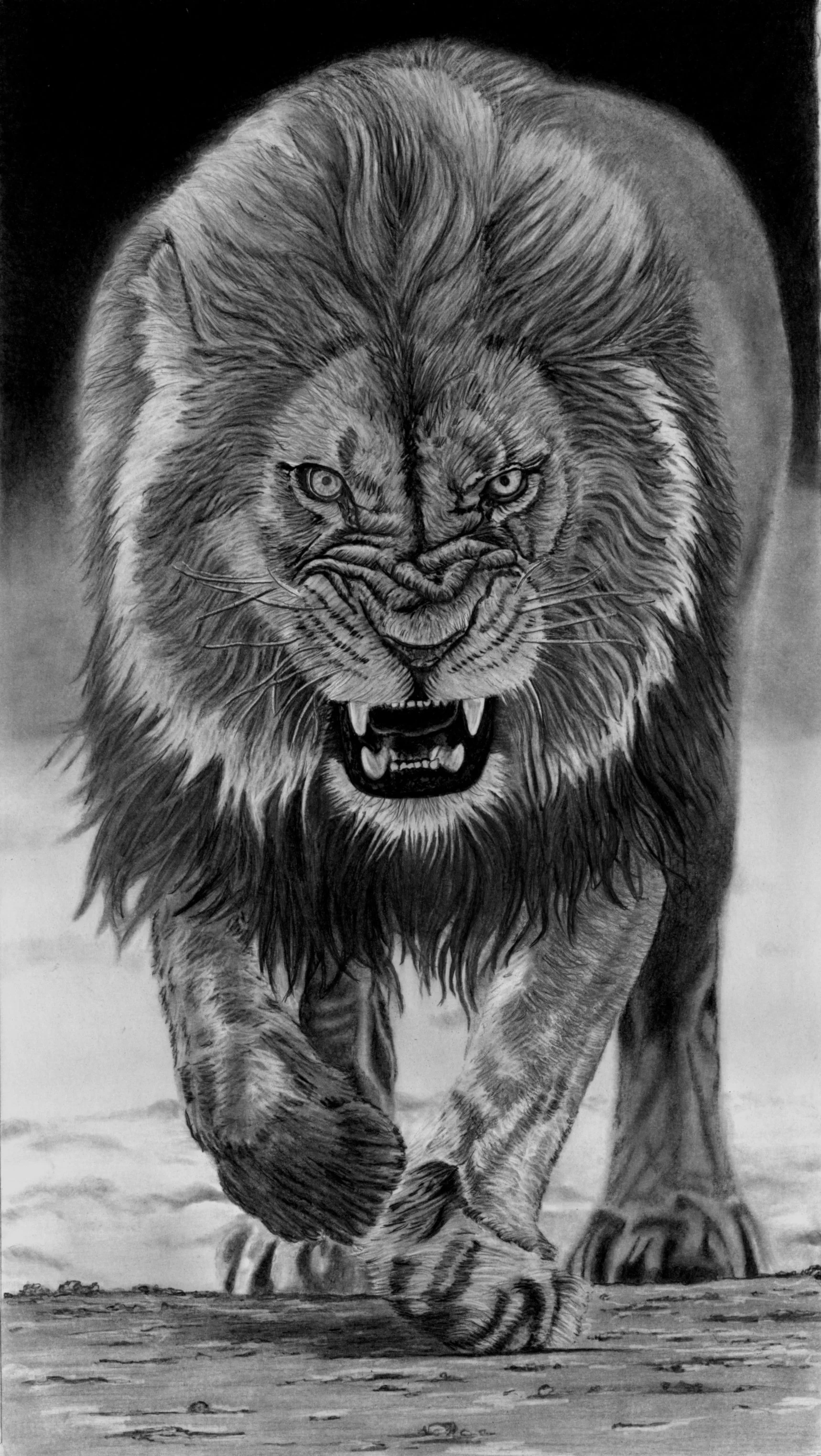 Angry Lion Scan 29cm x 51cm small copy.jpeg