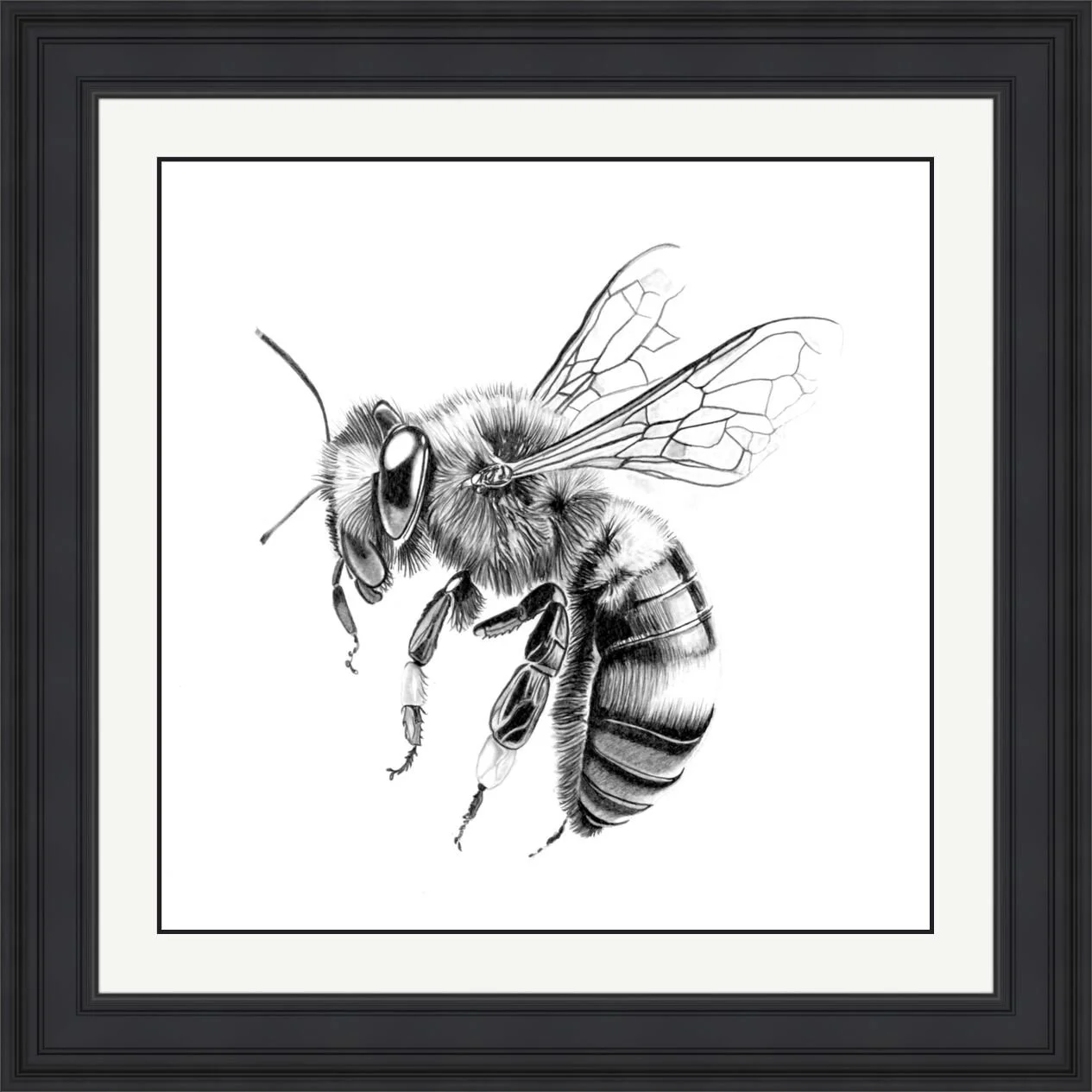 Pencil Bee Framed.jpeg