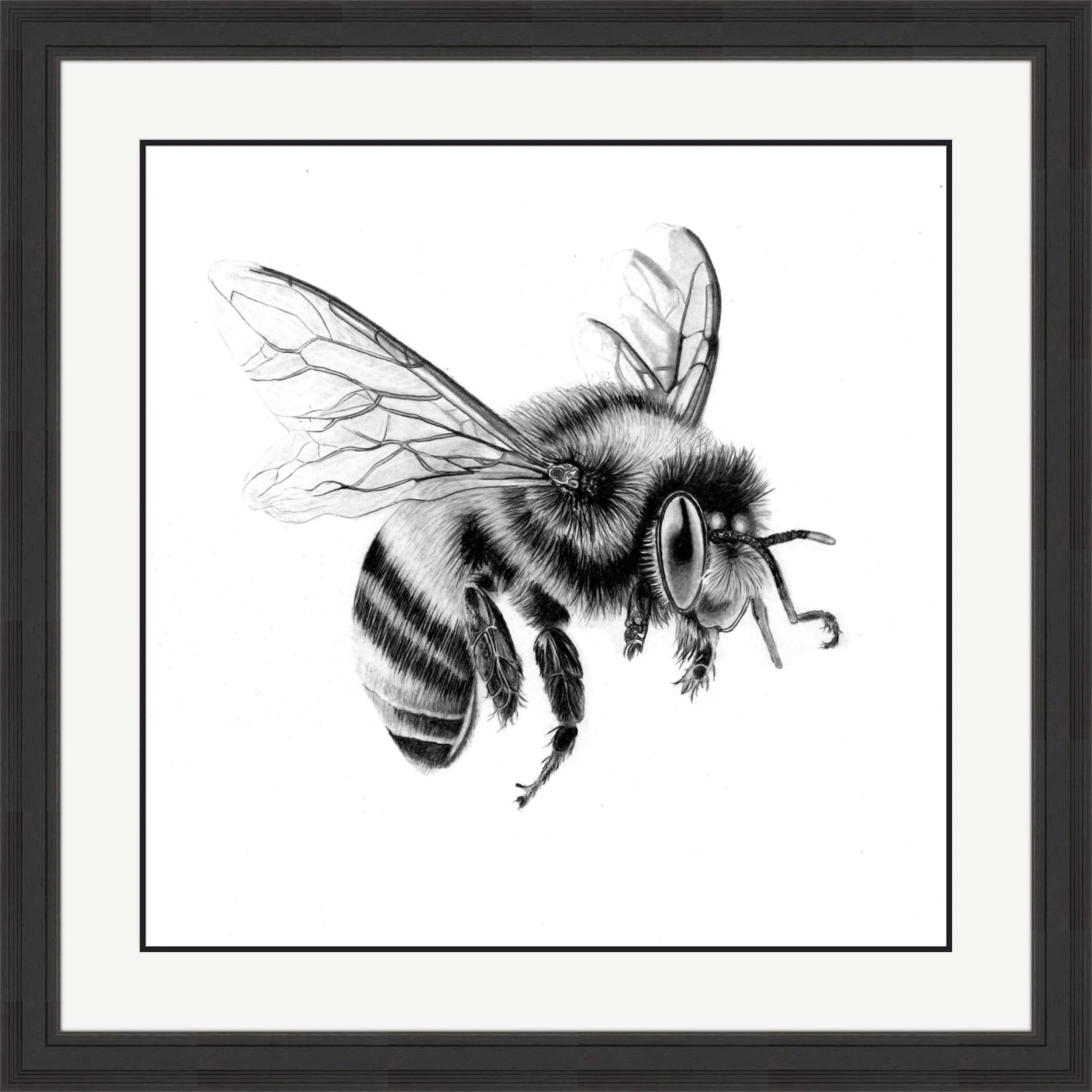 Bee in Pencil 2 Framed.jpeg