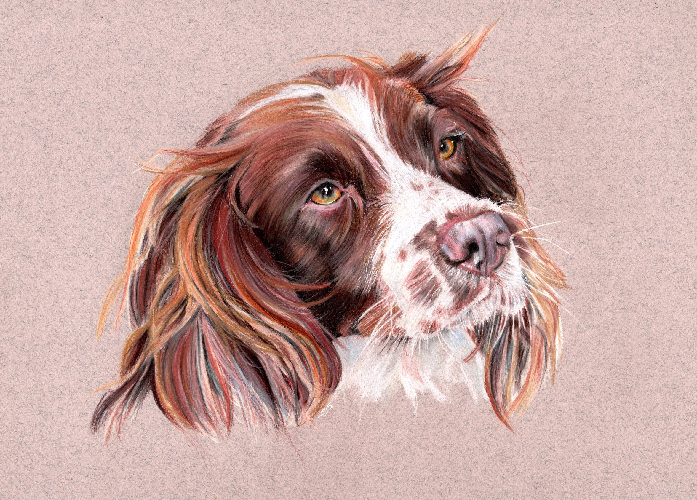 Sarahs Dog 3 small copy.JPG