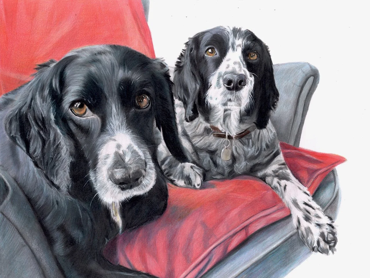 Sarah Dogs Nov 2018 a_Sarahs Dogs Nov 2018 c.jpeg