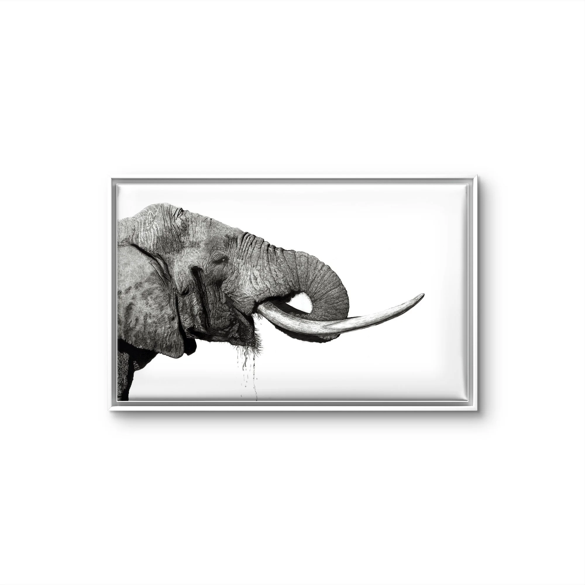 White Frame Canvas.jpeg
