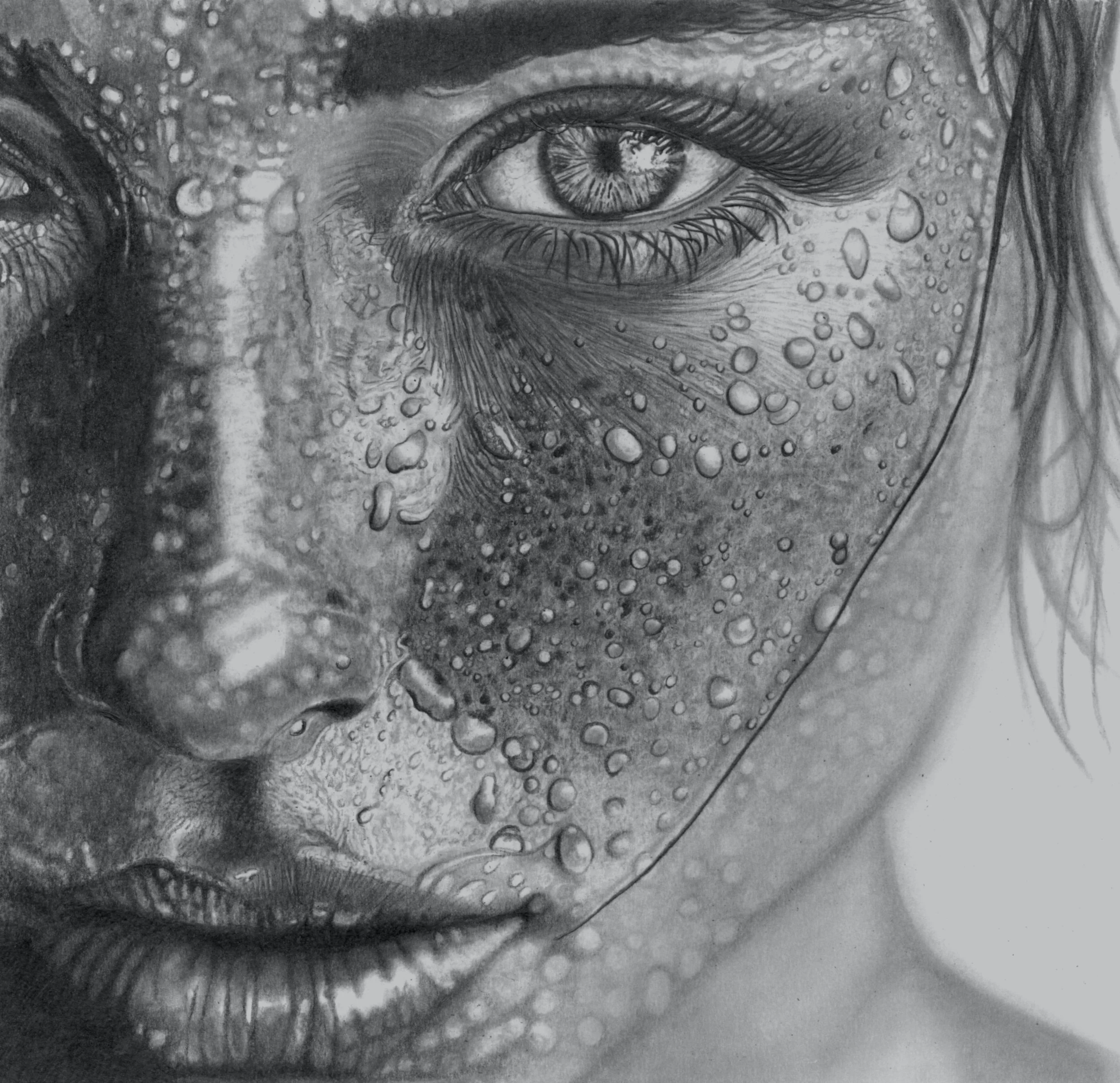 Wet Face 2026 Scan 38cm 37cm.jpg