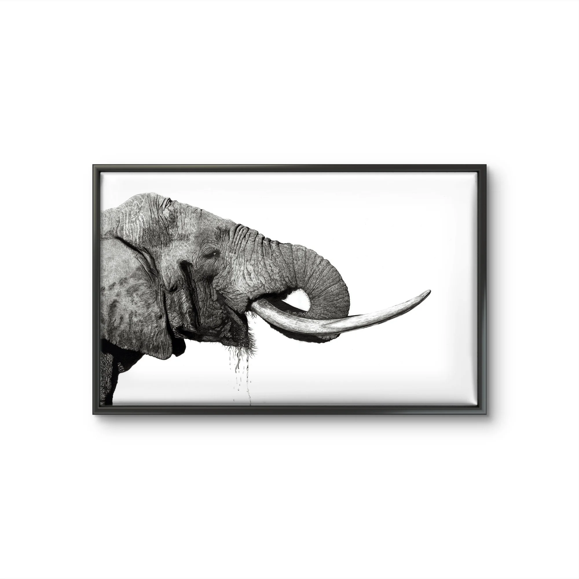 Black Frame Canvas.jpeg