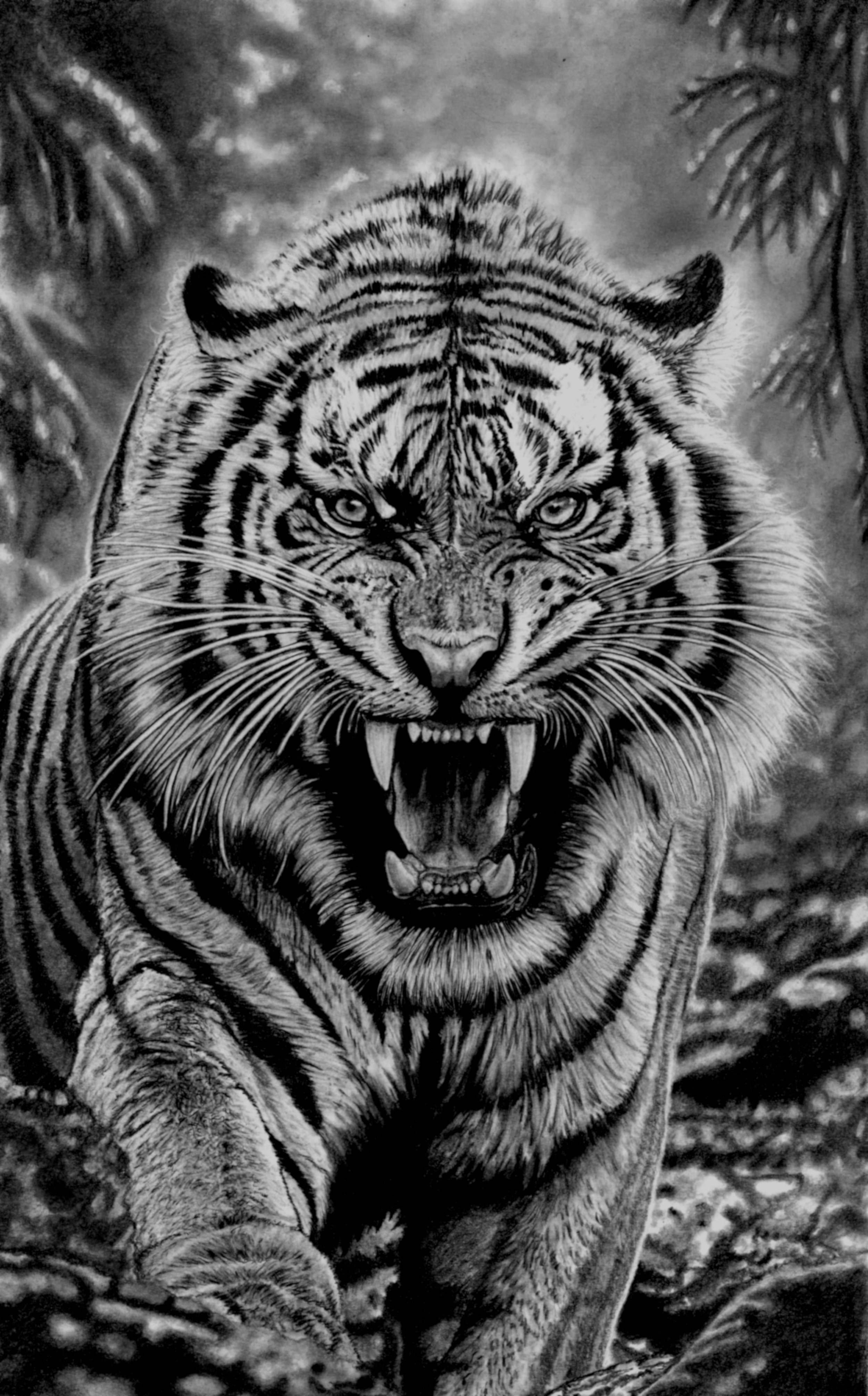Jungle Tiger 31cm x 50cm Scan.jpg